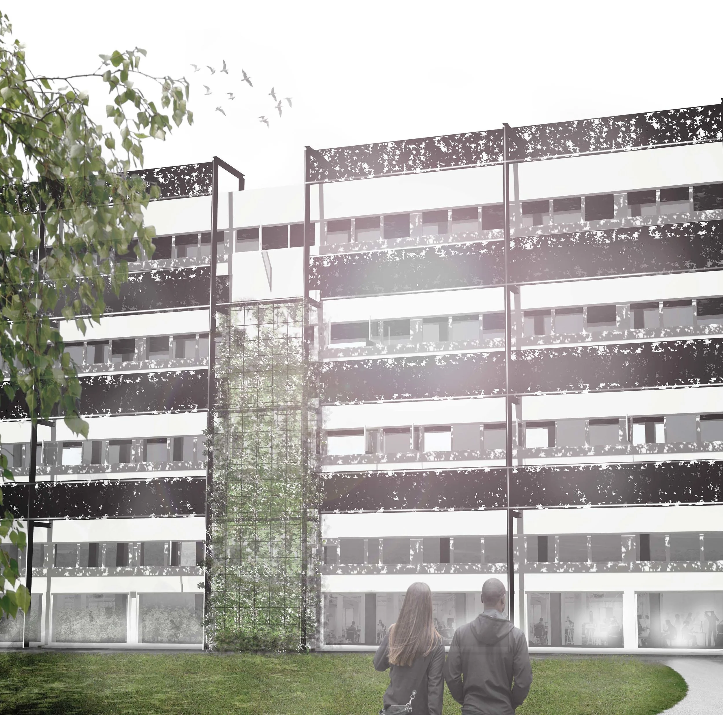 Early external visualisation