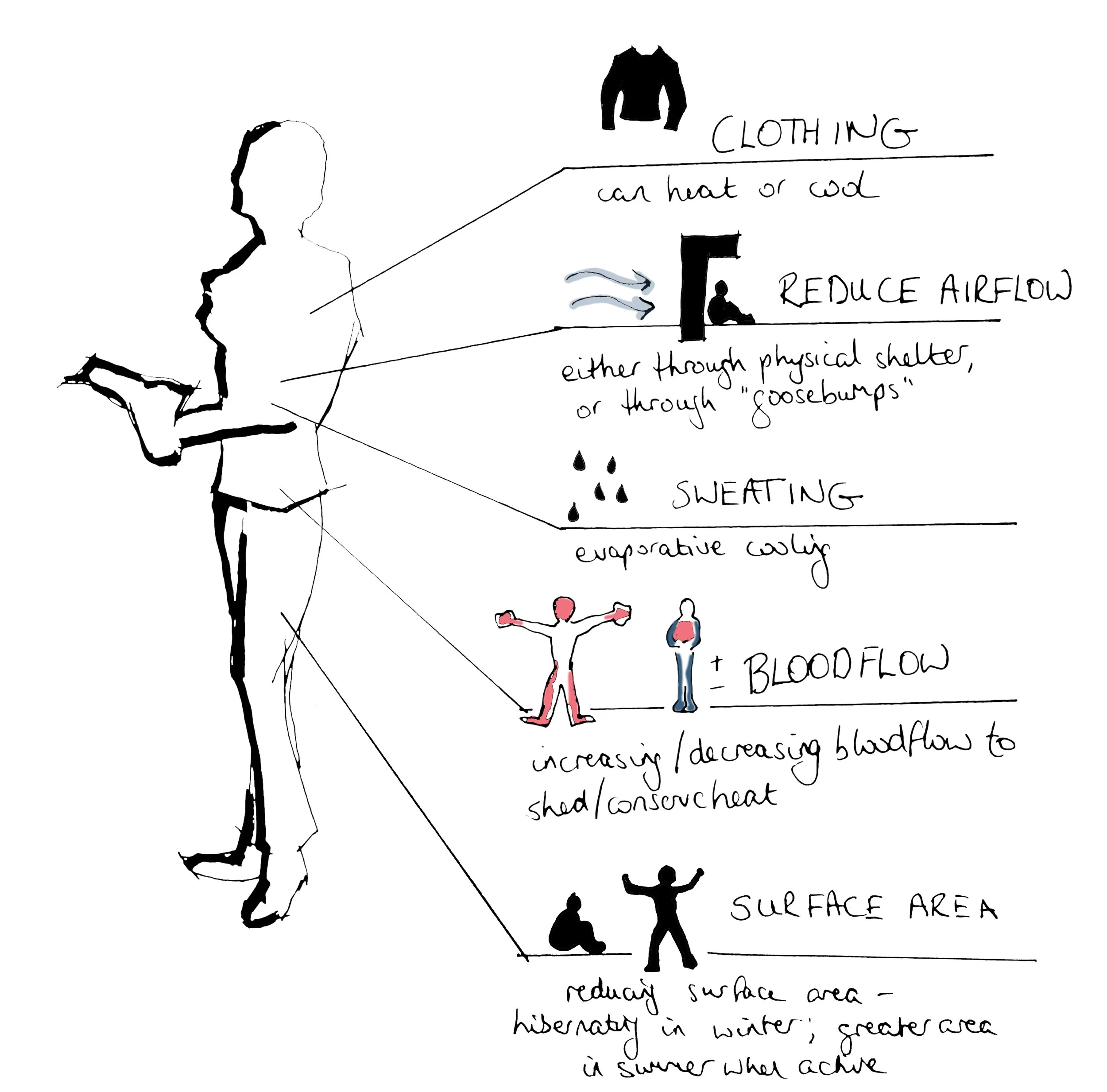 Animal Physiological Control as a starting point for design