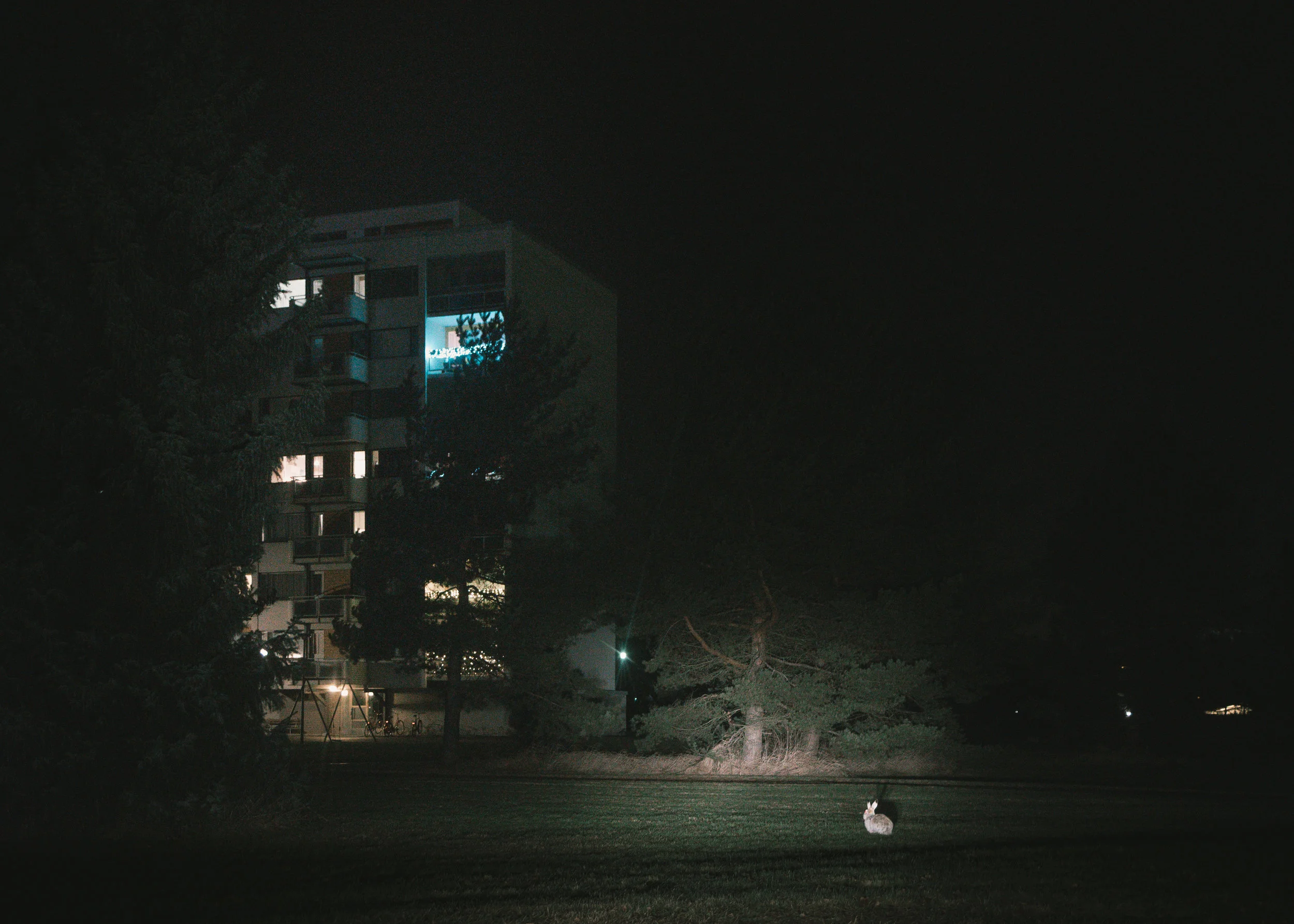 wiutl_DSC01298.jpg