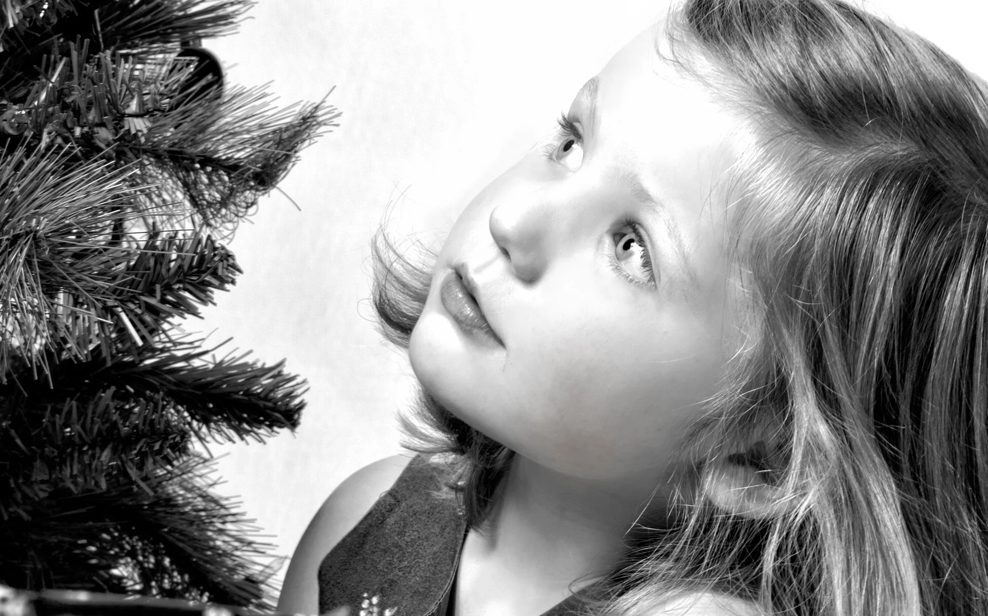 _88A4419bw edit2.jpg