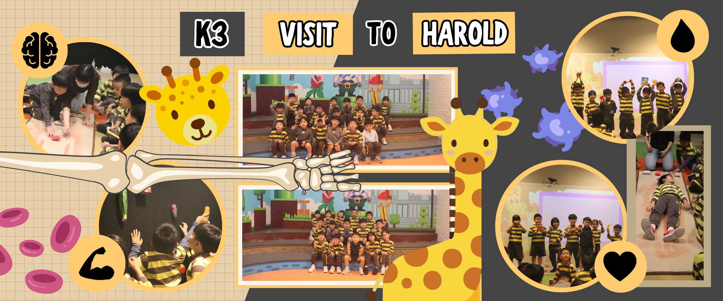 Harold.png