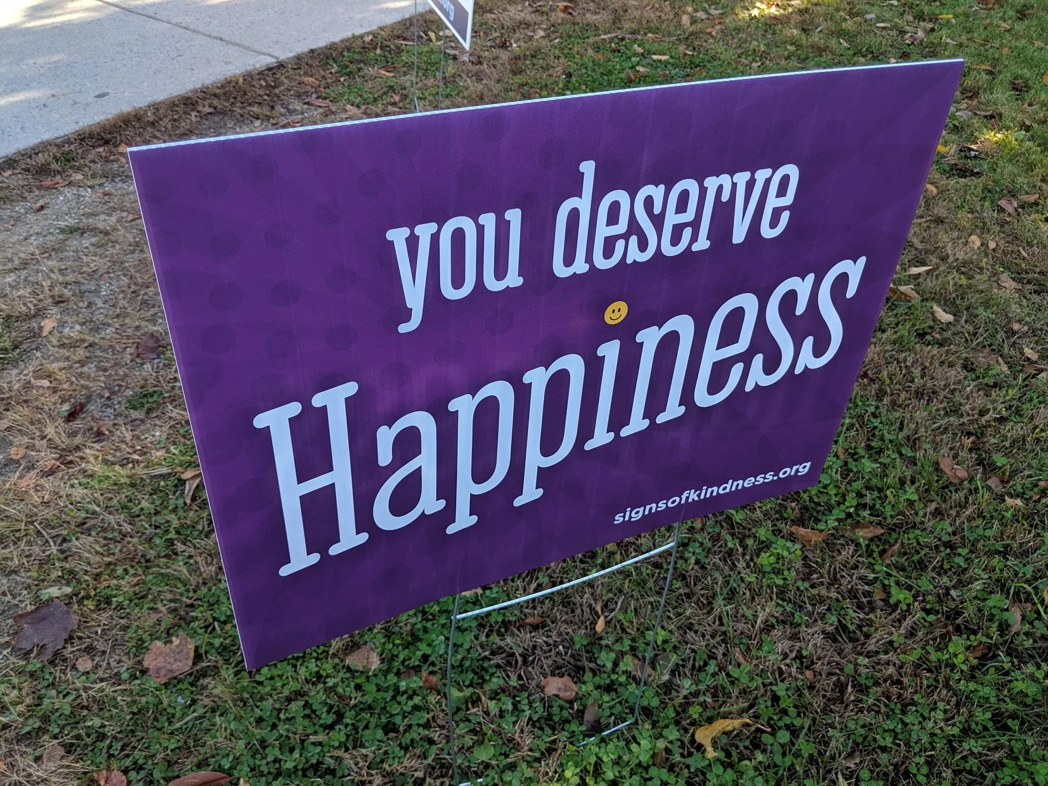 happiness.jpg