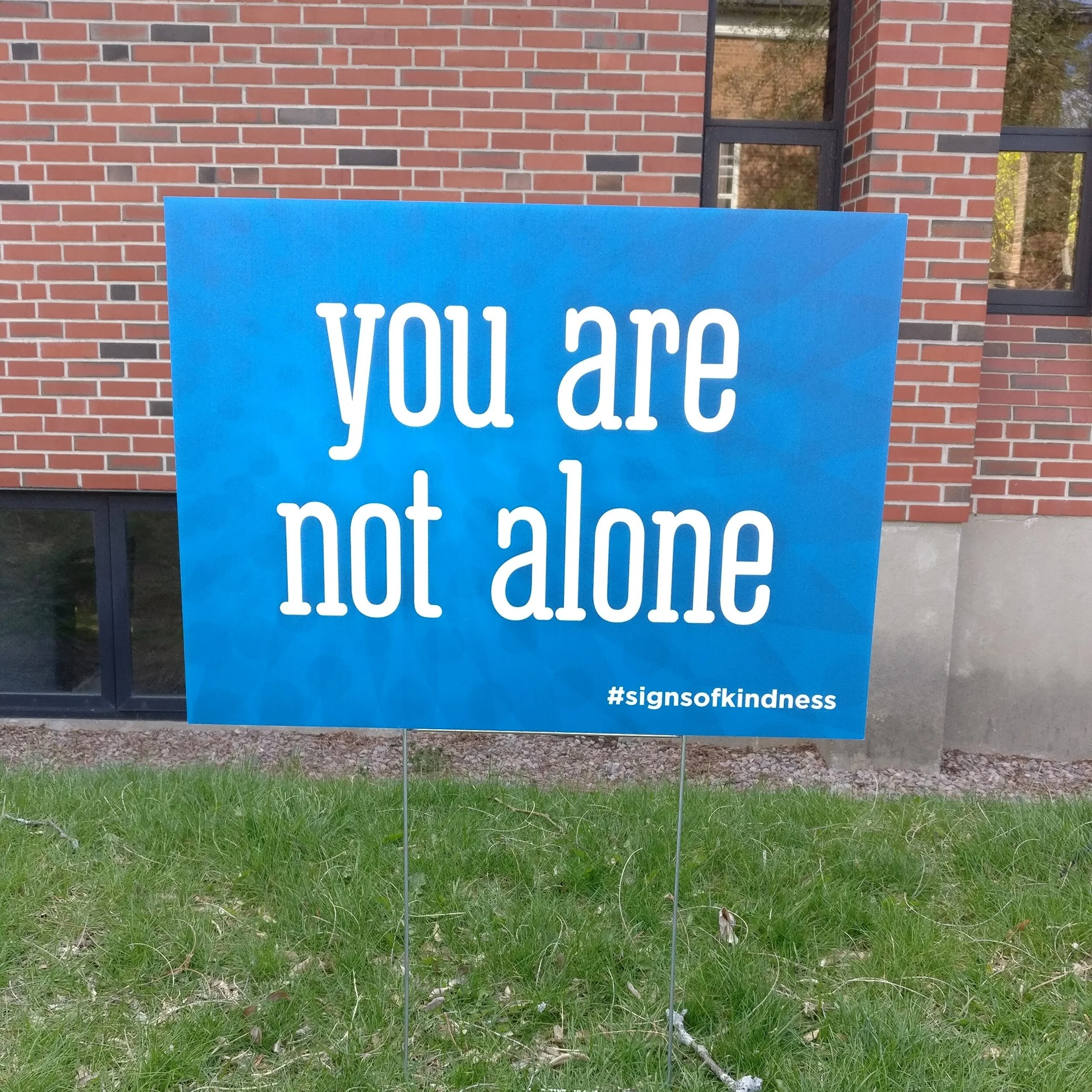 Not Alone.jpg