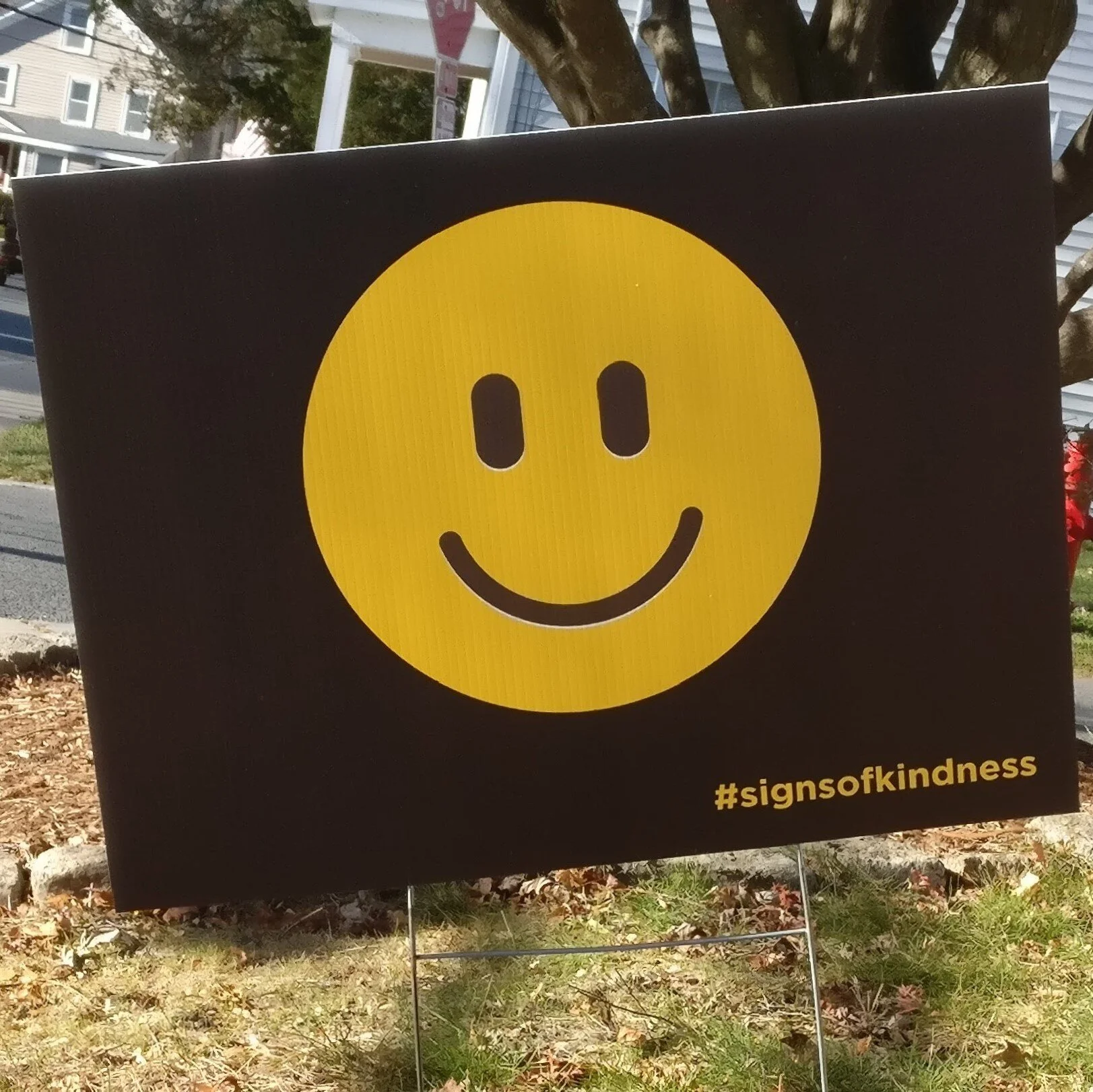 Smile square.jpg