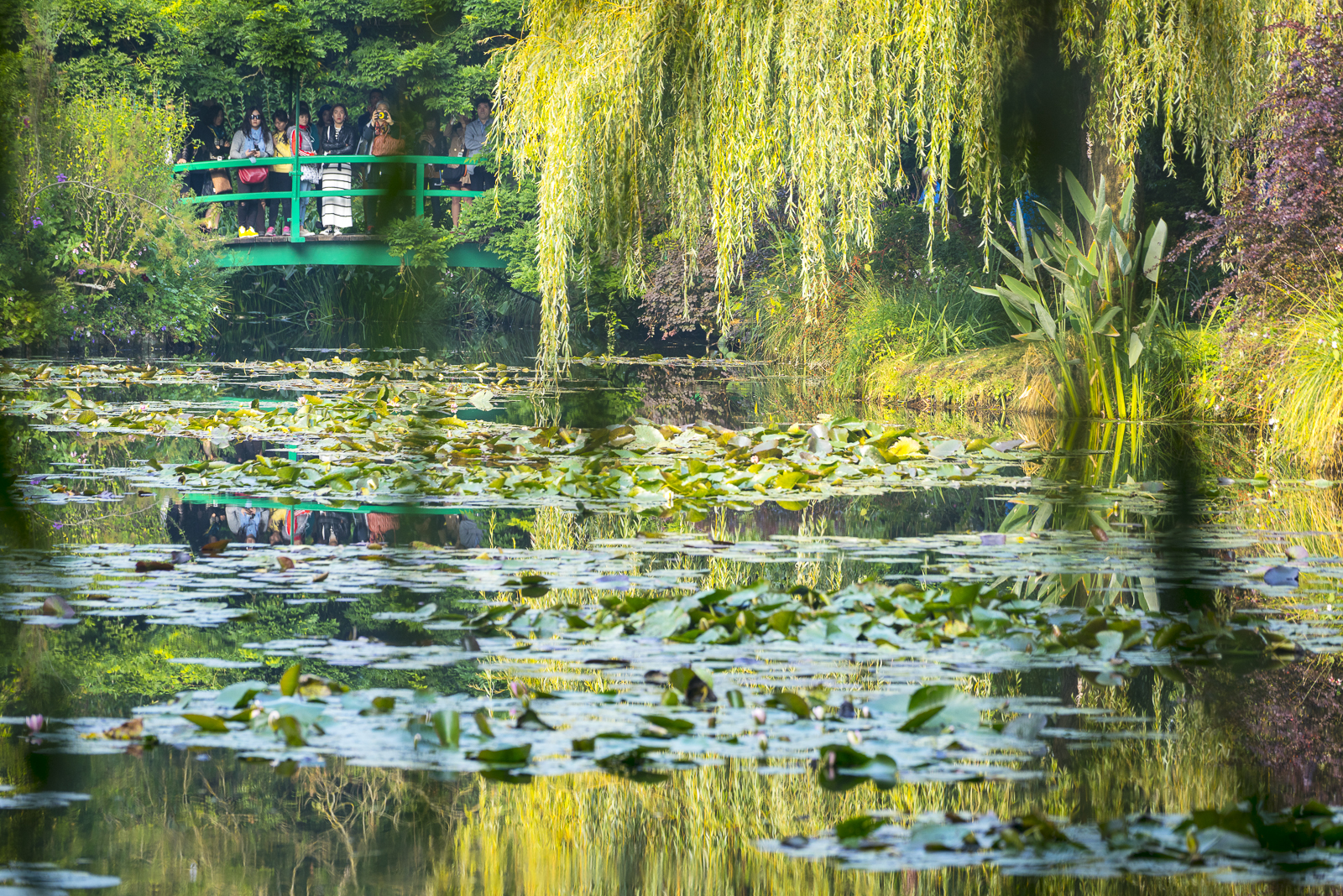 Monet's footbridge, Giverny