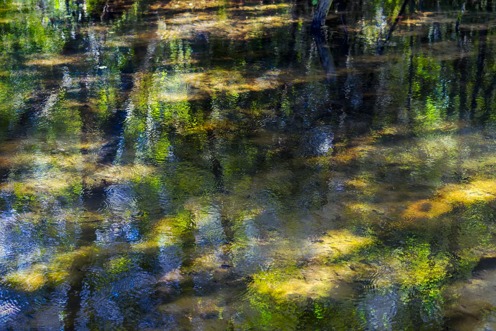 Huelgoat, France, Autumn 2014