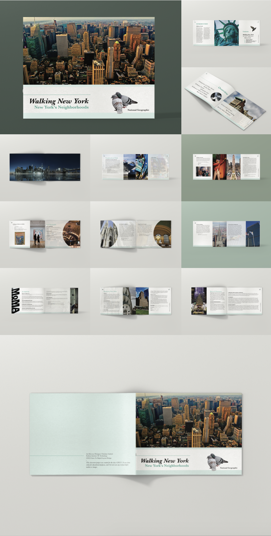 Brochure titled 'Walking New York: New York's Neighborhoods' with aerial view of New York City skyline, featuring tall buildings and skyscrapers, and an illustration of pigeons. Inside pages show various images and text about New York City neighborho