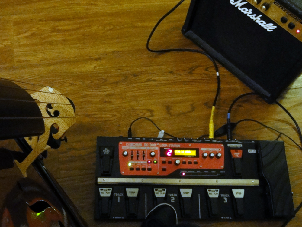 BOSS-RC-300-cello-THE-WONG-JANICE.jpg