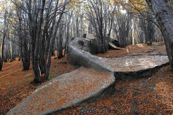 beached-whale-forest-art-installation-enpundit-1.jpg