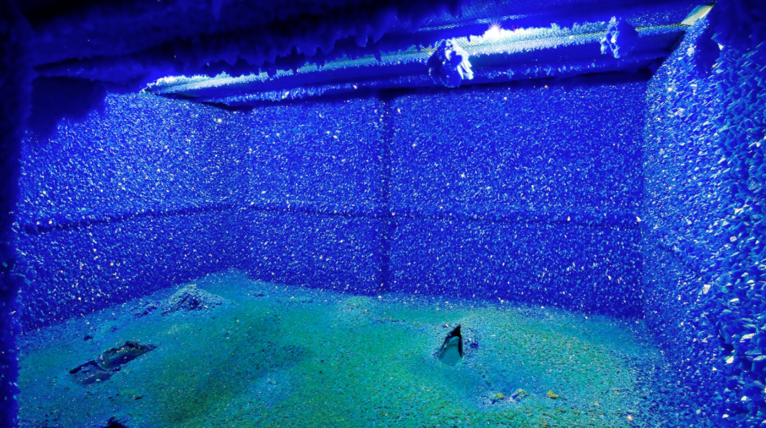 Seizure 1.png