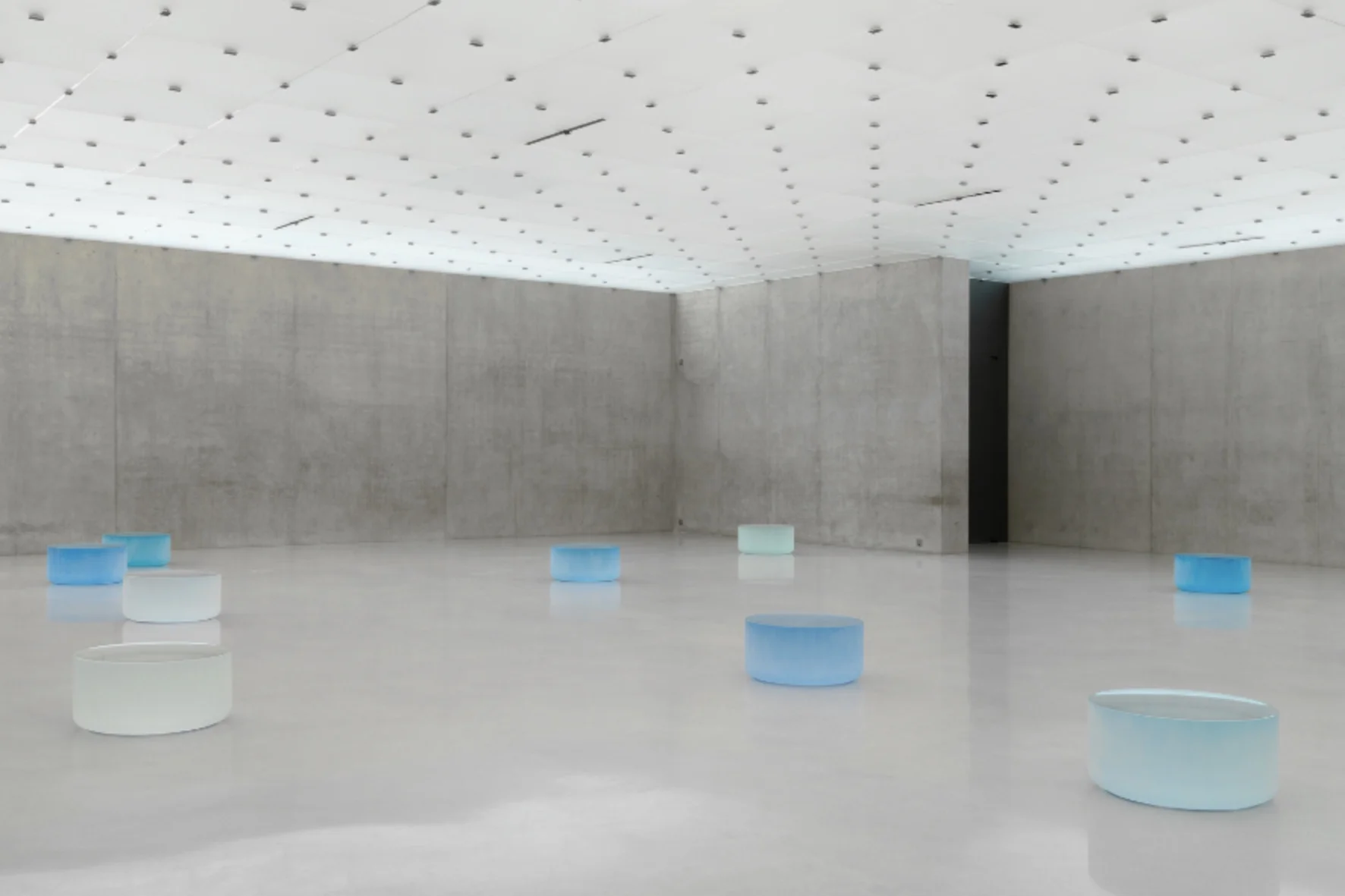 Roni Horn Well and Truly 2010.png
