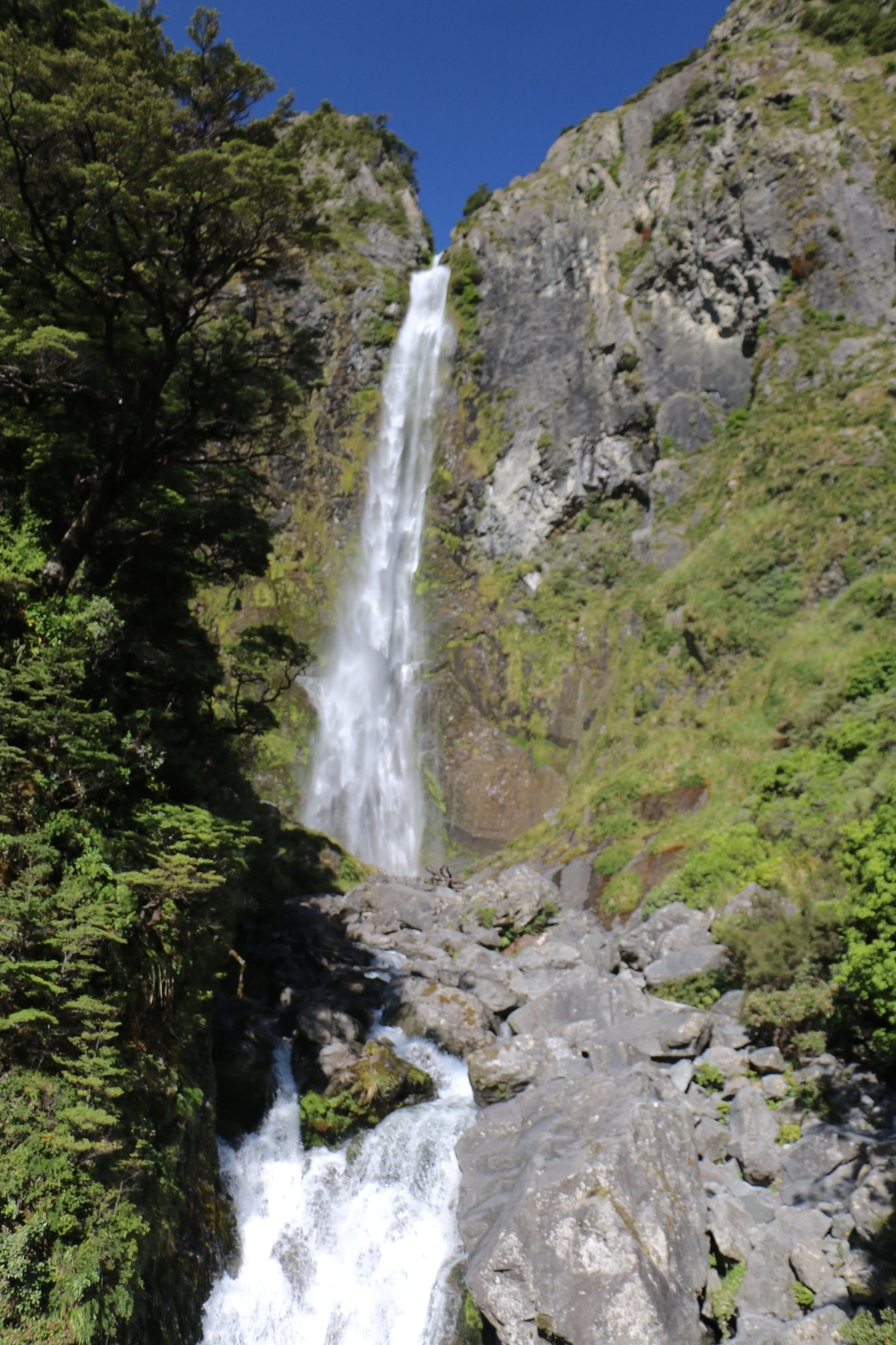 IMG_5507.jpg