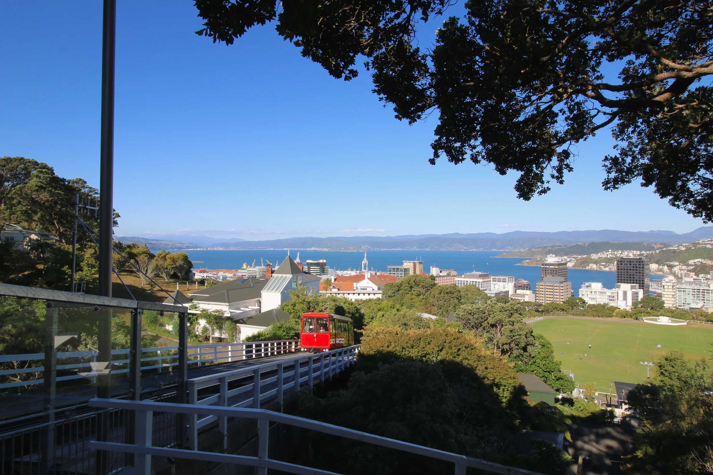 IMG_6284.jpg