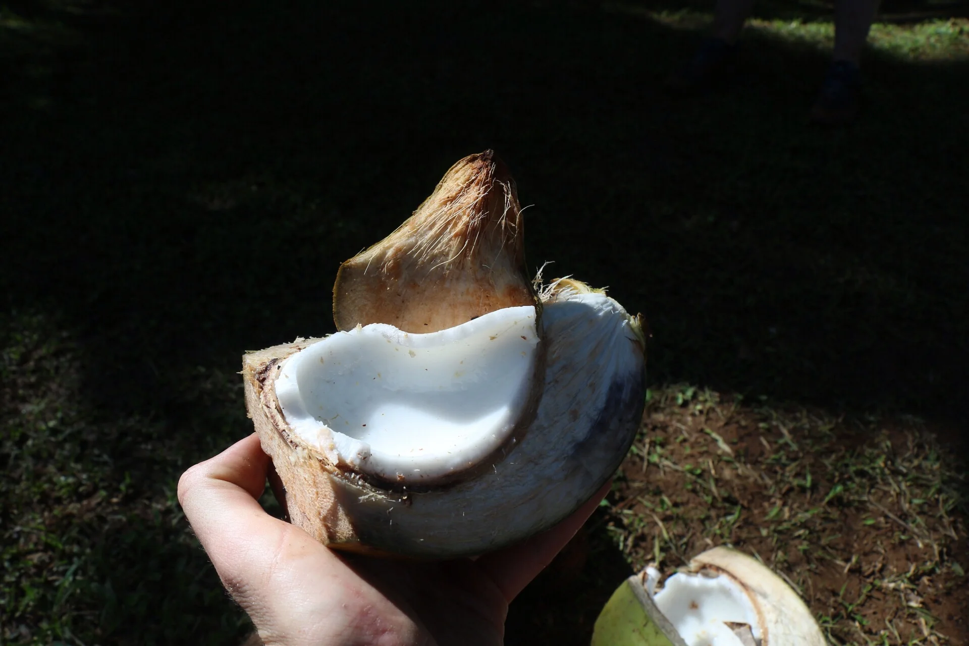 Coconut =)