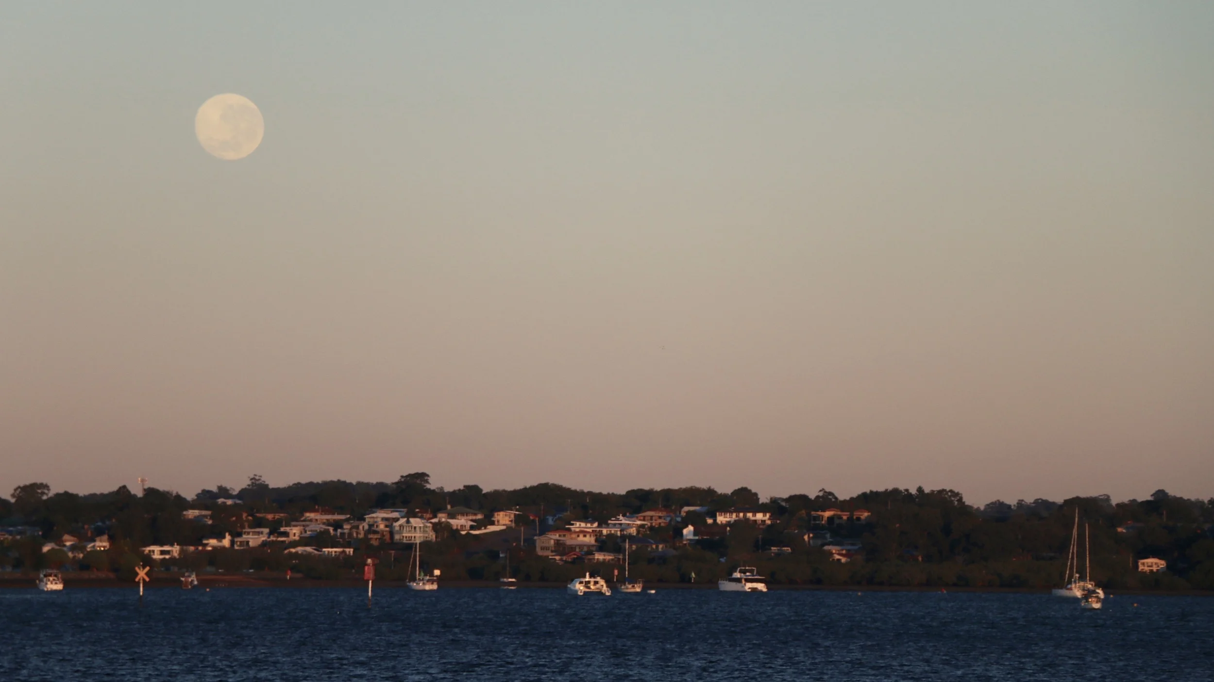 IMG_9863.jpg