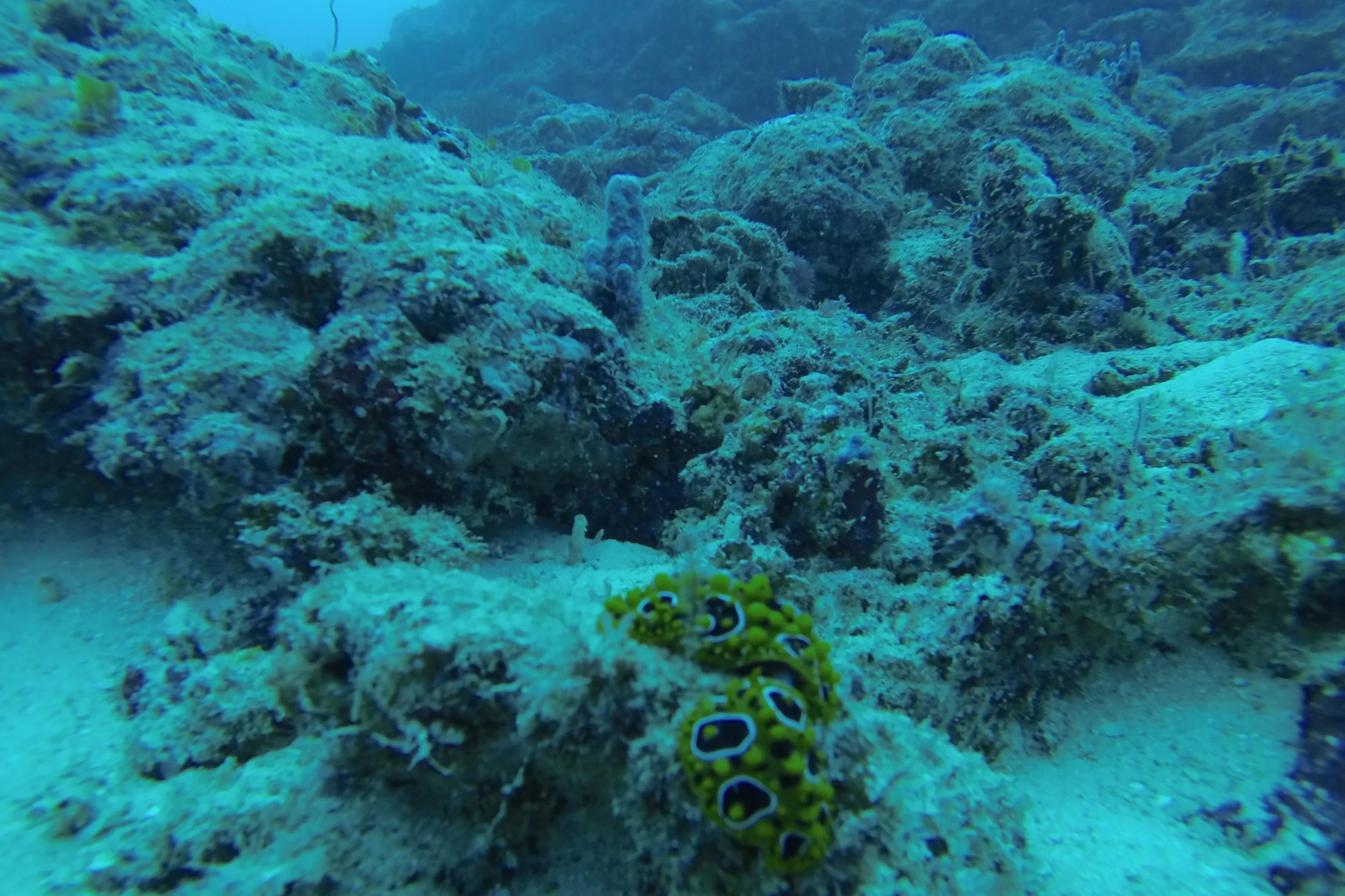 G0798812.jpg