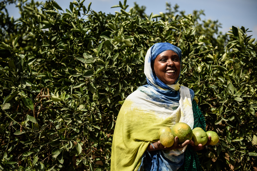 Sabat Ali Moktar, 30, works with her son on her farm in Huluq. She gets water via an irrigation scheme with a shallow well and gabion.