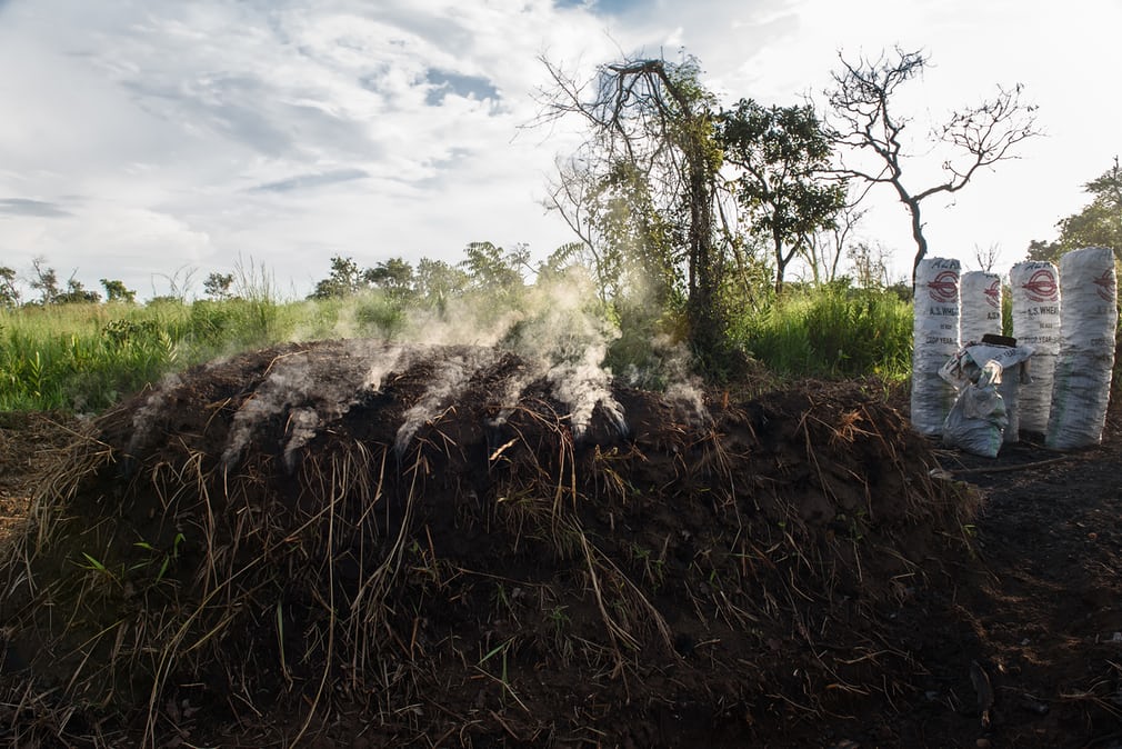  Wood in the process of carbonisation under a mound of earth and grass,  in Amuru district. In Nwoya, local government officials are developing  an incentive plan to encourage landowners to keep their trees, funded by  the penalty fines. Landowners w