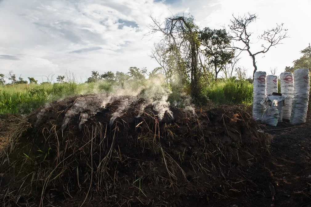 Wood in the process of carbonisation under a mound of earth and grass, in Amuru district. In Nwoya, local government officials are developing an incentive plan to encourage landowners to keep their trees, funded by the penalty fines. Landowners who don’t sell their trees for charcoal burning are to be paid 1m Ugandan shillings each year.
