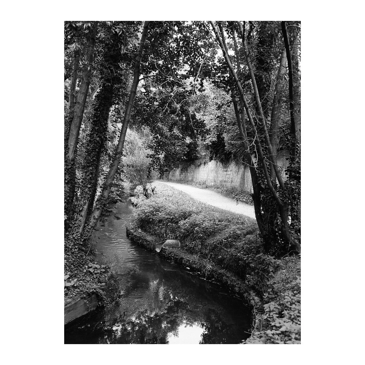 Whitagram-Image 3.JPG