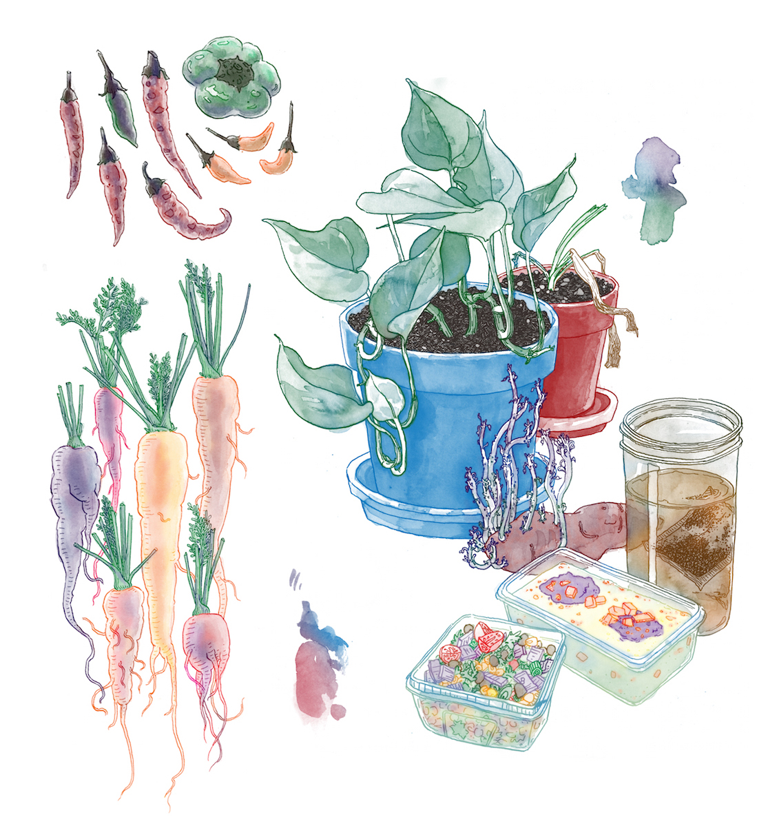 pretty plants and stuff