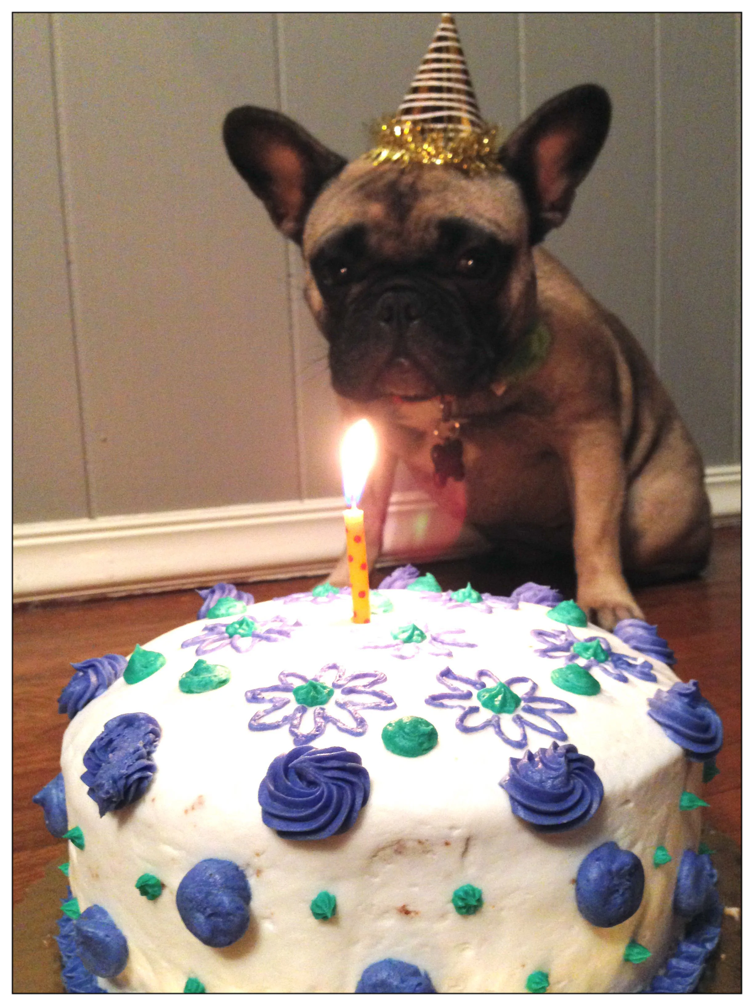 Specially decorated puppy birthday cake!