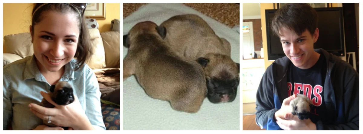 Daphne and her sis just a couple of days old, and the first time we met her!