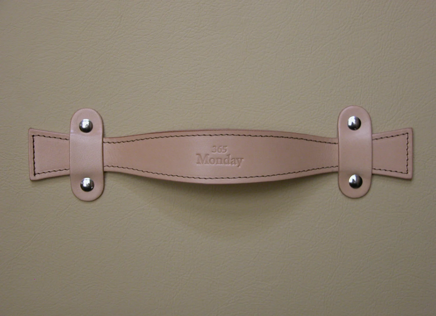 trunk_detail.jpg