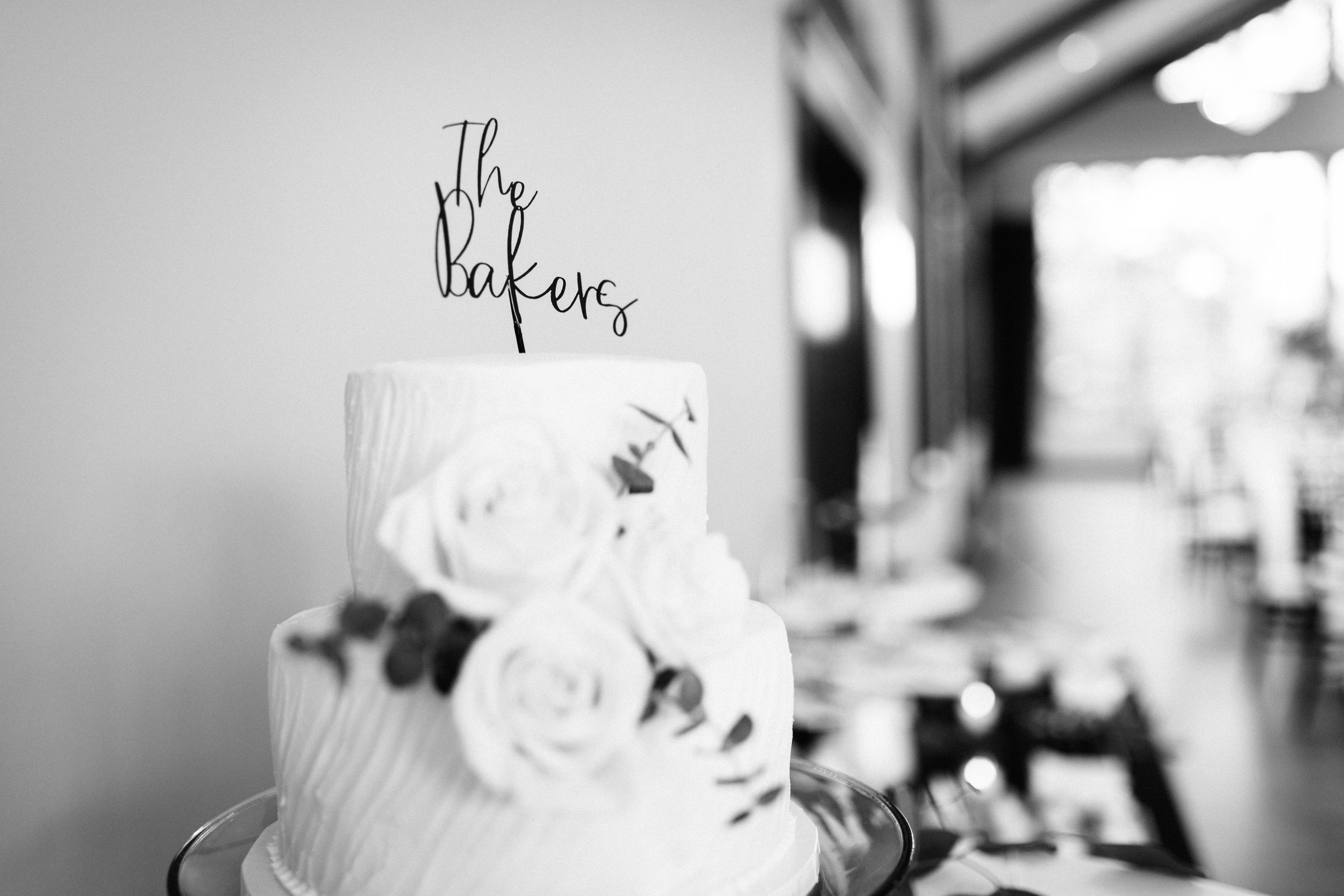 ShadowShinePictures-PeytonEganBaker-Grand-Rapids-Wedding-Photography-24.jpg