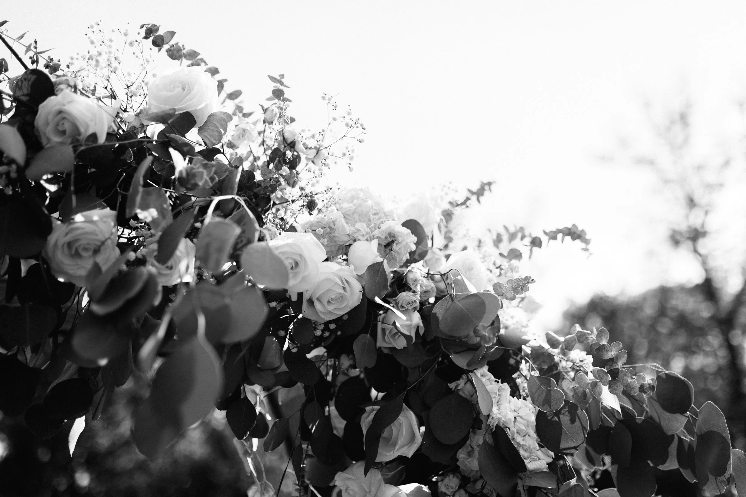 ShadowShinePictures-PeytonEganBaker-Grand-Rapids-Wedding-Photography-18.jpg