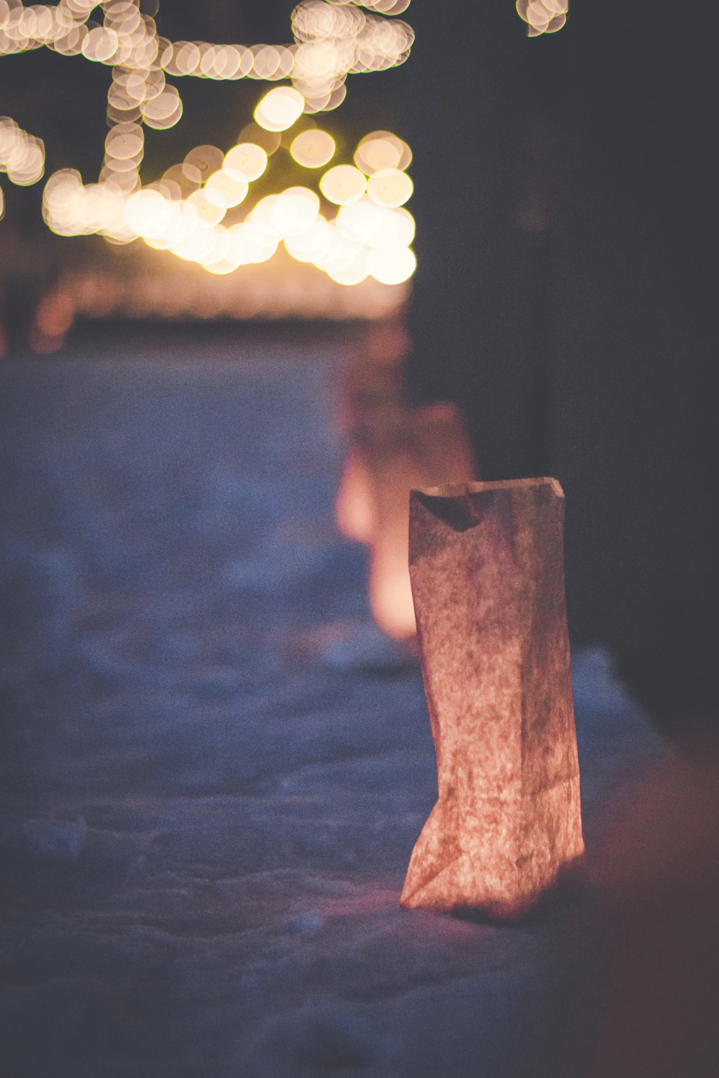 Shadow-Shine-Pictures-Attema-Boes-Holland-Proposal-Photography