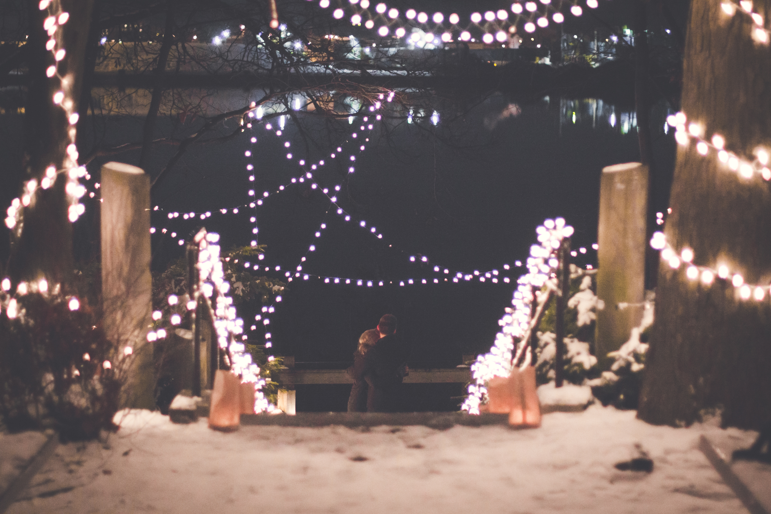 Ben + Allison - The Proposal!