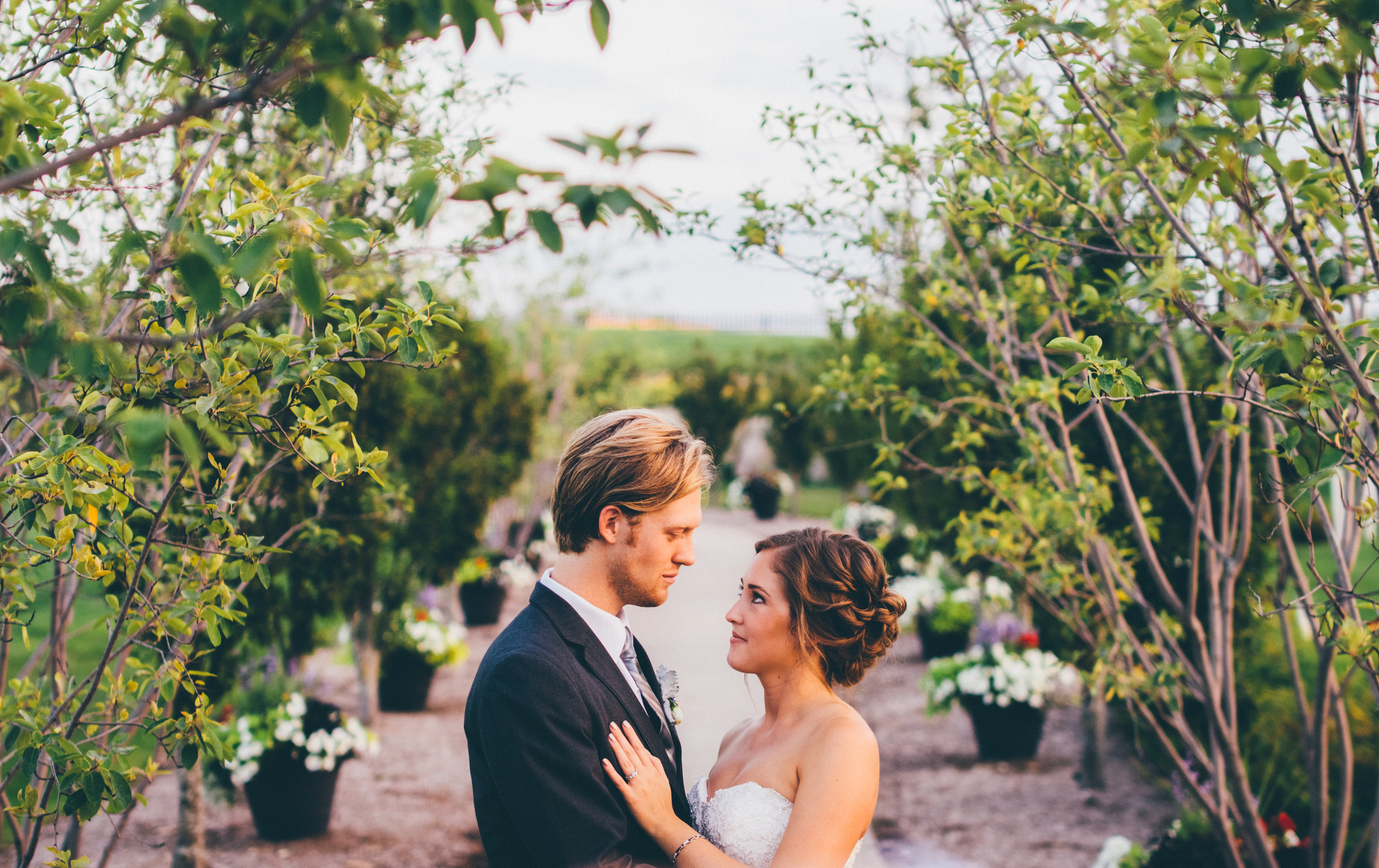 Alicia + Kevin: The McKay Wedding Trailer
