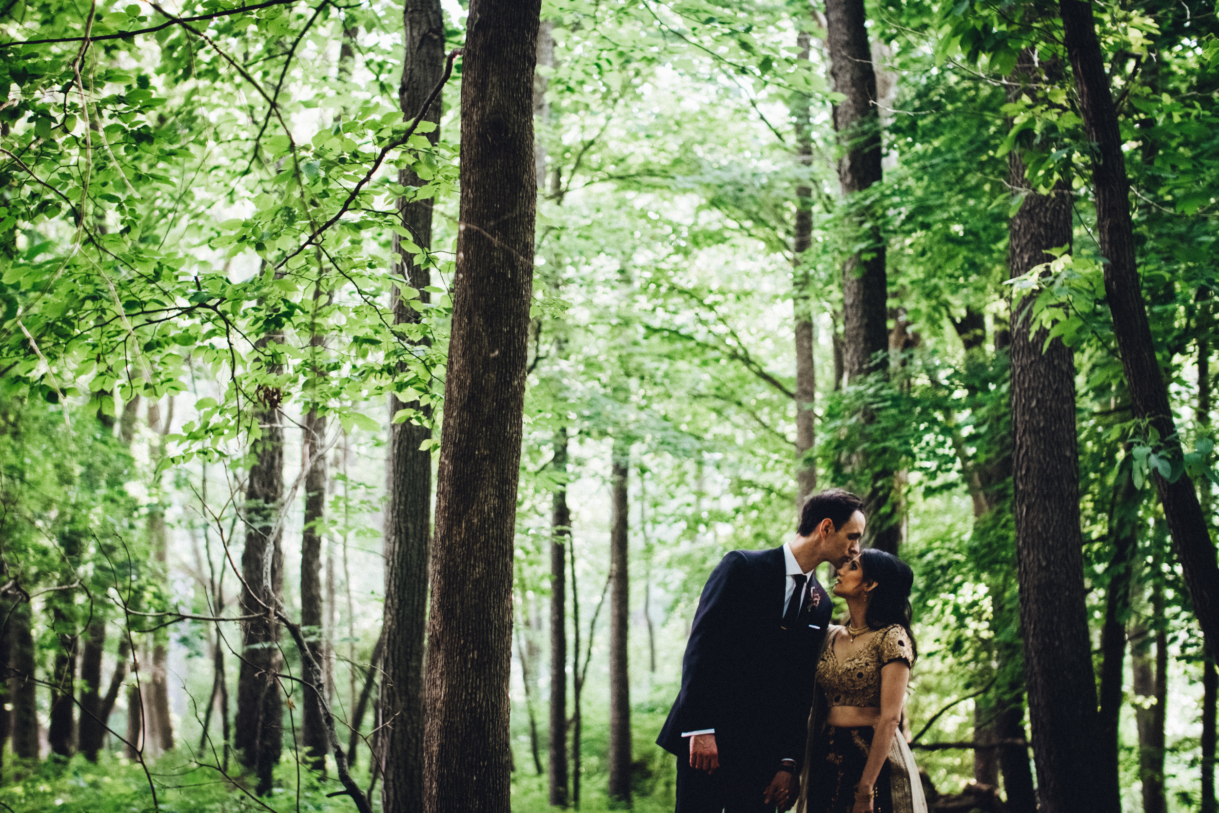  avani-khristoph-becker-bhatt-shadow-shine-pictures-detorit-michigan-wedding-photography-photographers-photographer-cinematographer-cinematographers-cinematography