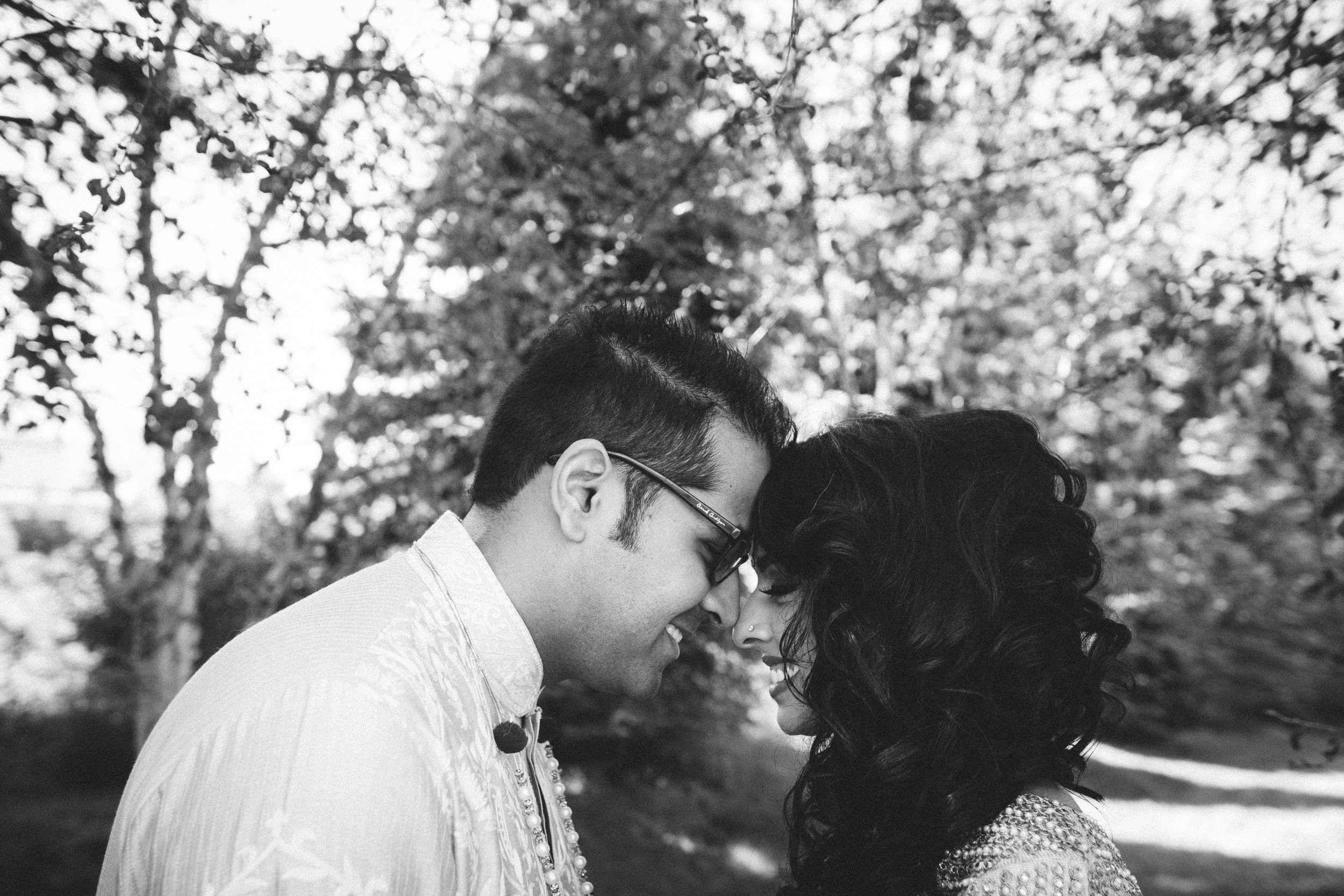 Videographer-Videographers-Videography-Wedding-Photographers-Photography-Photographer-Indian-Engagement-Ceremony-Shadow-Shine-Pictures-Lansing-Detroit