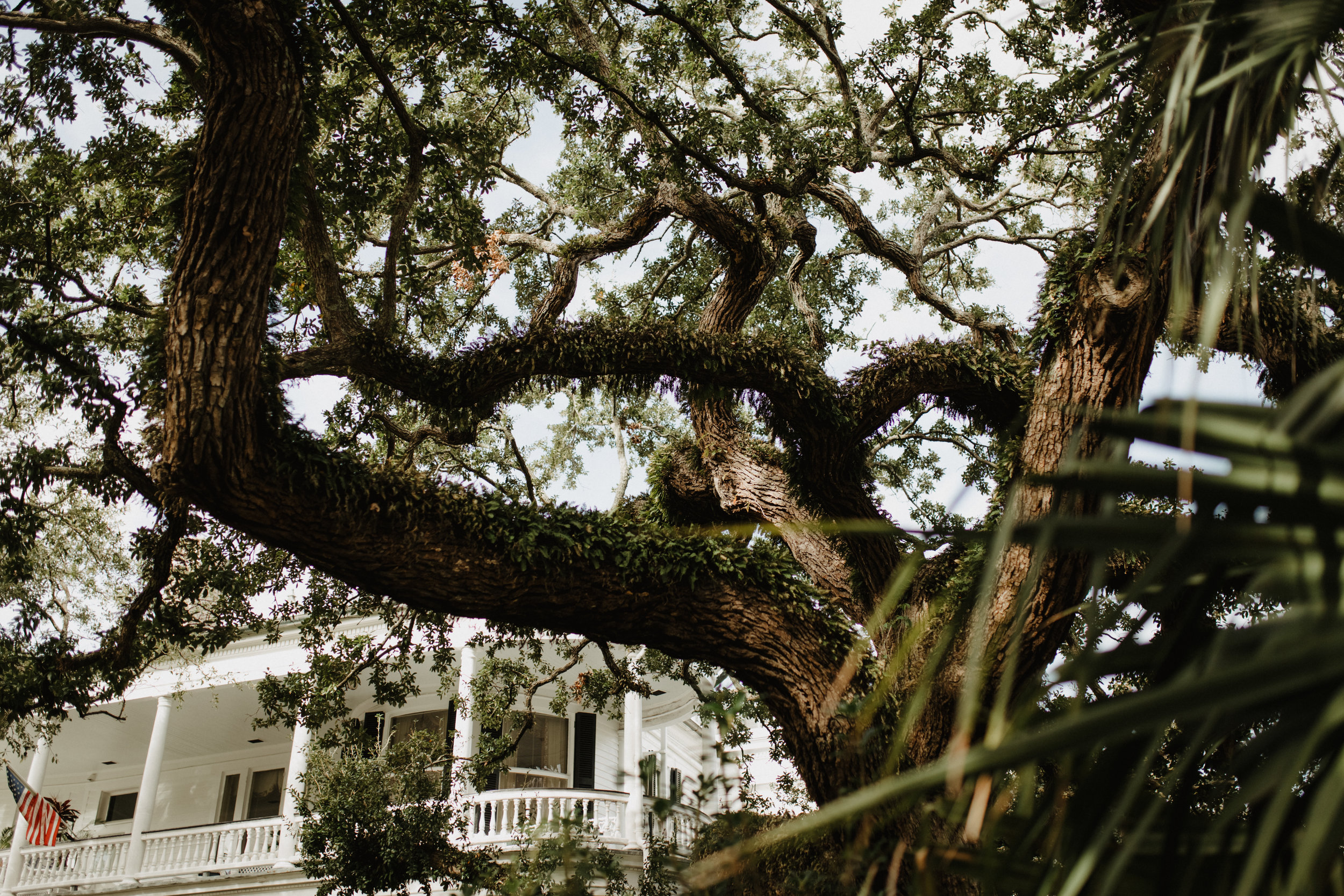 ShadowShinePictures-RachelDavid-Eudy-Engagement-Photography-1.jpg