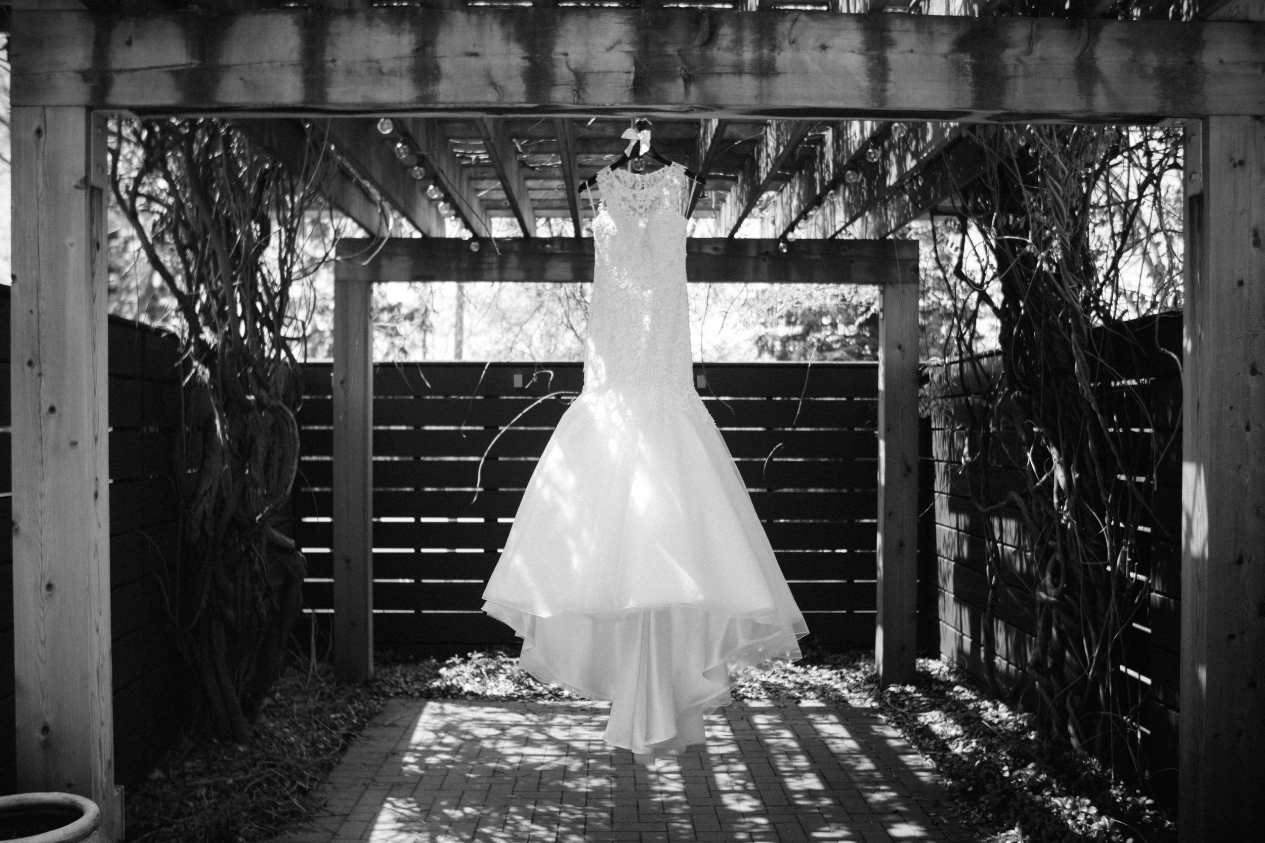 ShadowShinePictures-VeronicaToddKorthals-Ann-Arbor-Wedding-Photography-6.jpg