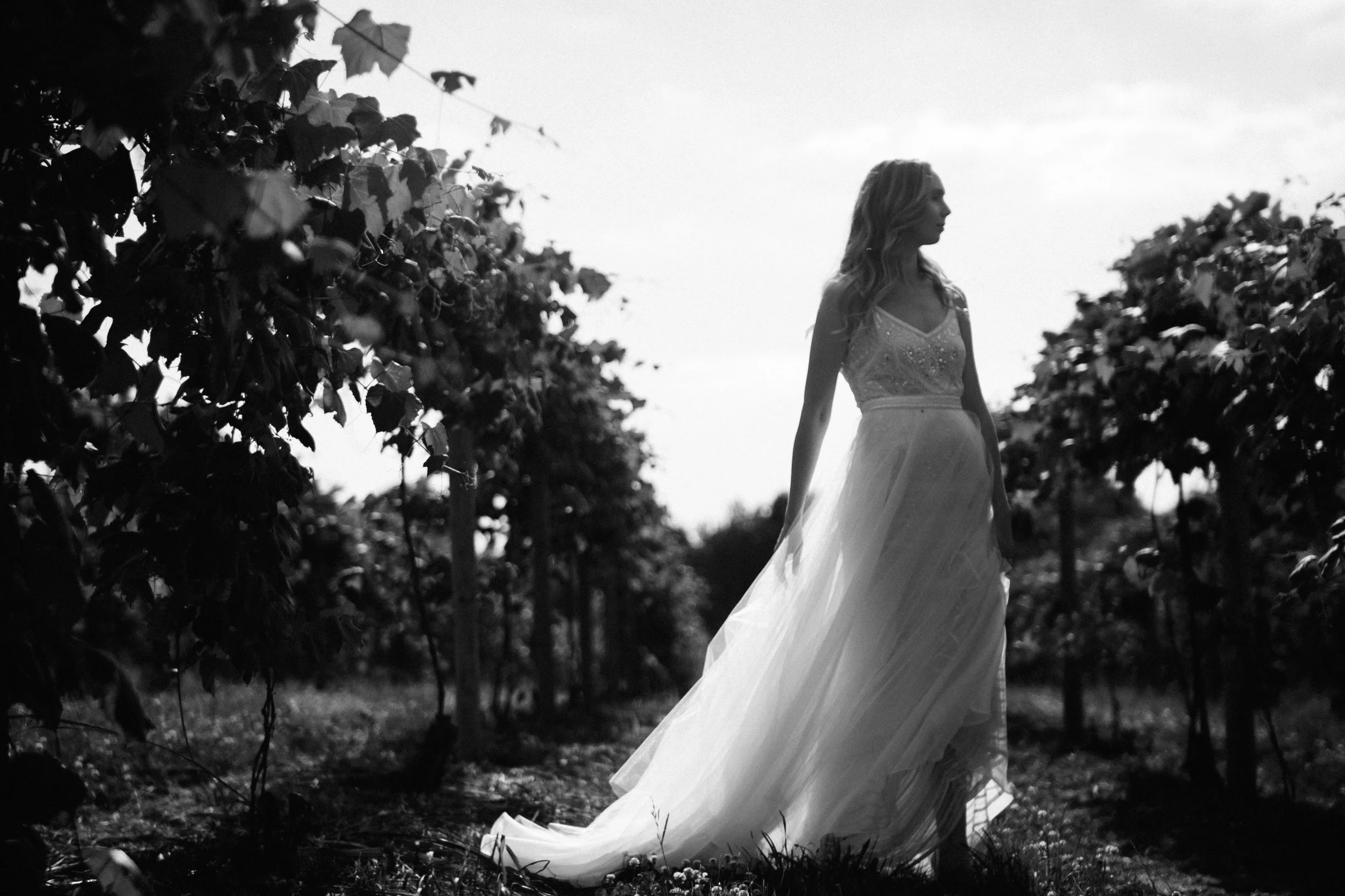 ShadowShinePictures-Wedding-Photography-Berrien-Springs-19.jpg