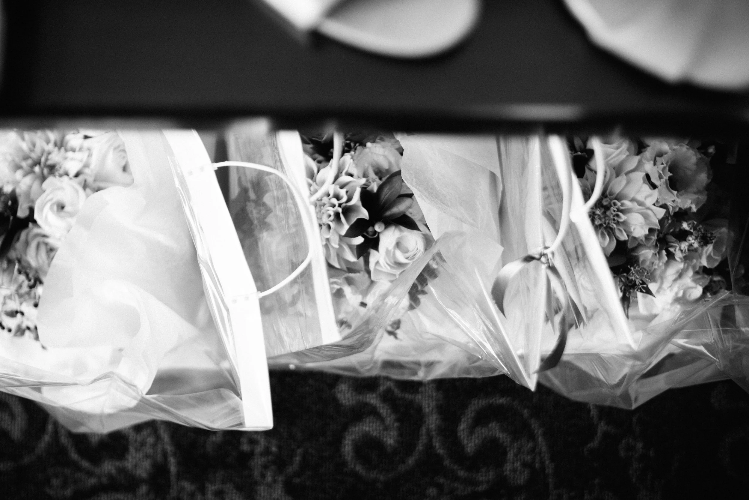 Merisa-Ryan-Heeke-Shadow-Shine-Pictures-Grand-Rapids-Wedding-Photography-1.jpg