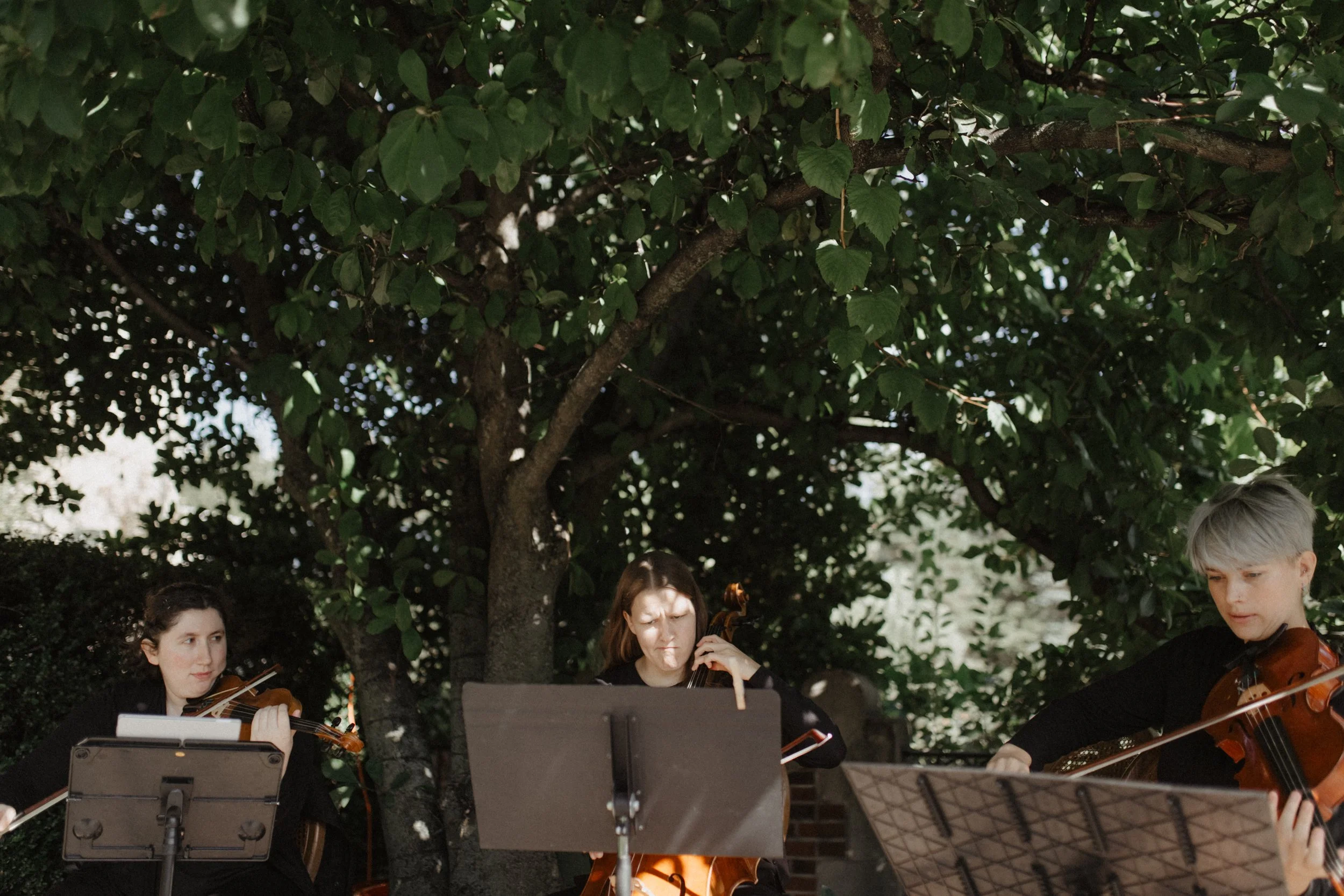 ShadowShinePictures-Wedding-Photography-Greencrest-Manor-24.jpg