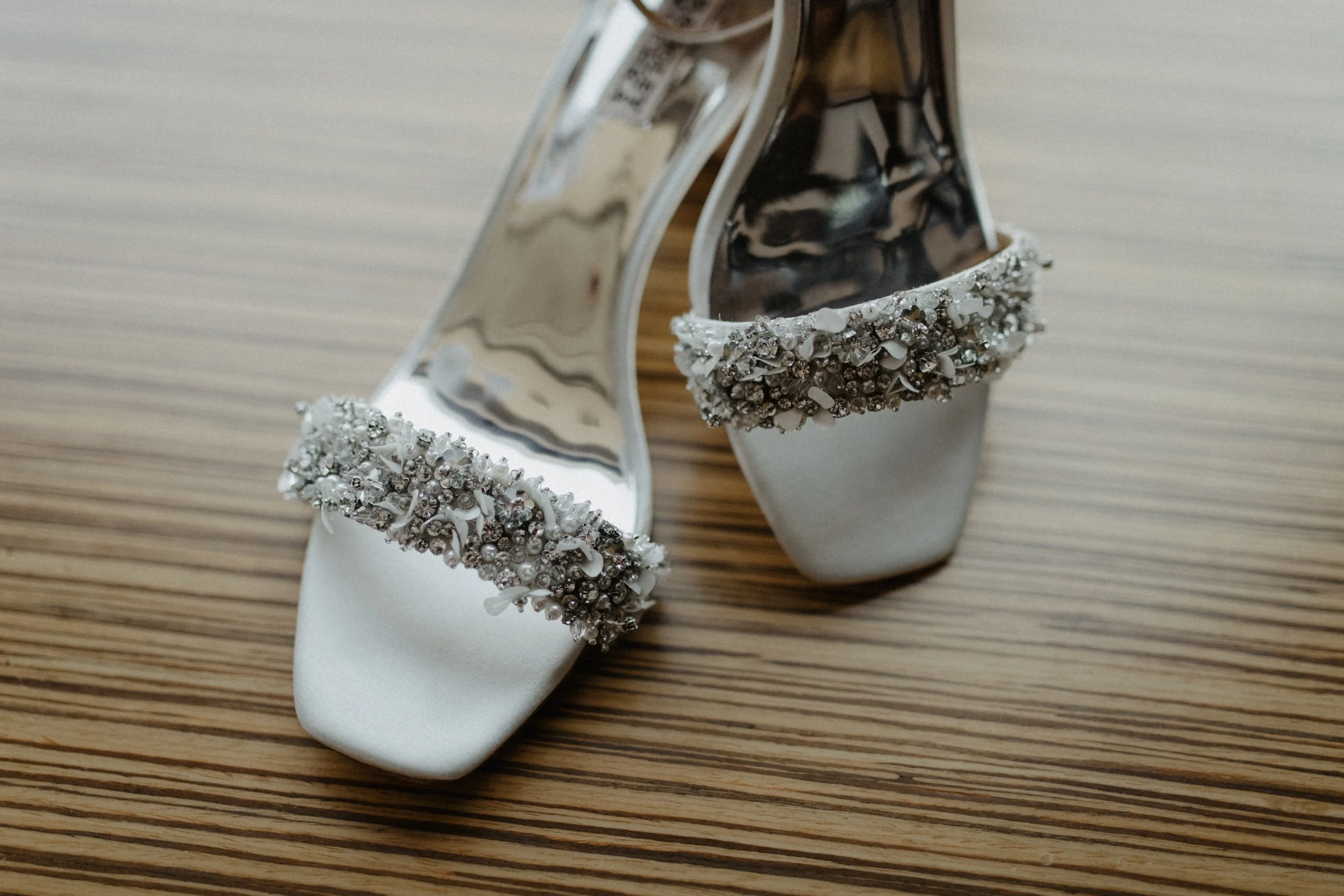 ShadowShinePictures-MeganMichaelFichter-Grosse-Pointe-Wedding-Photography-1.jpg