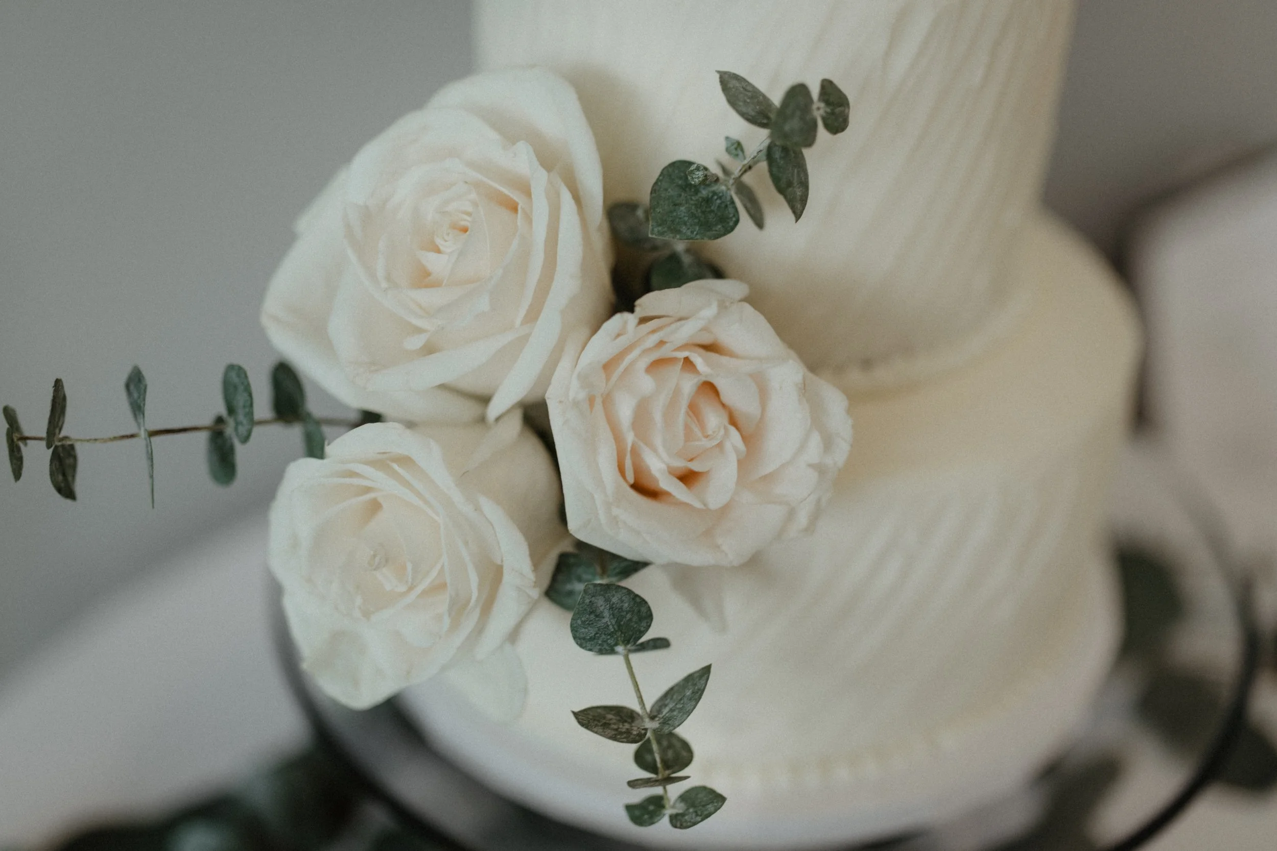 ShadowShinePictures-PeytonEganBaker-Grand-Rapids-Wedding-Photography-23.jpg