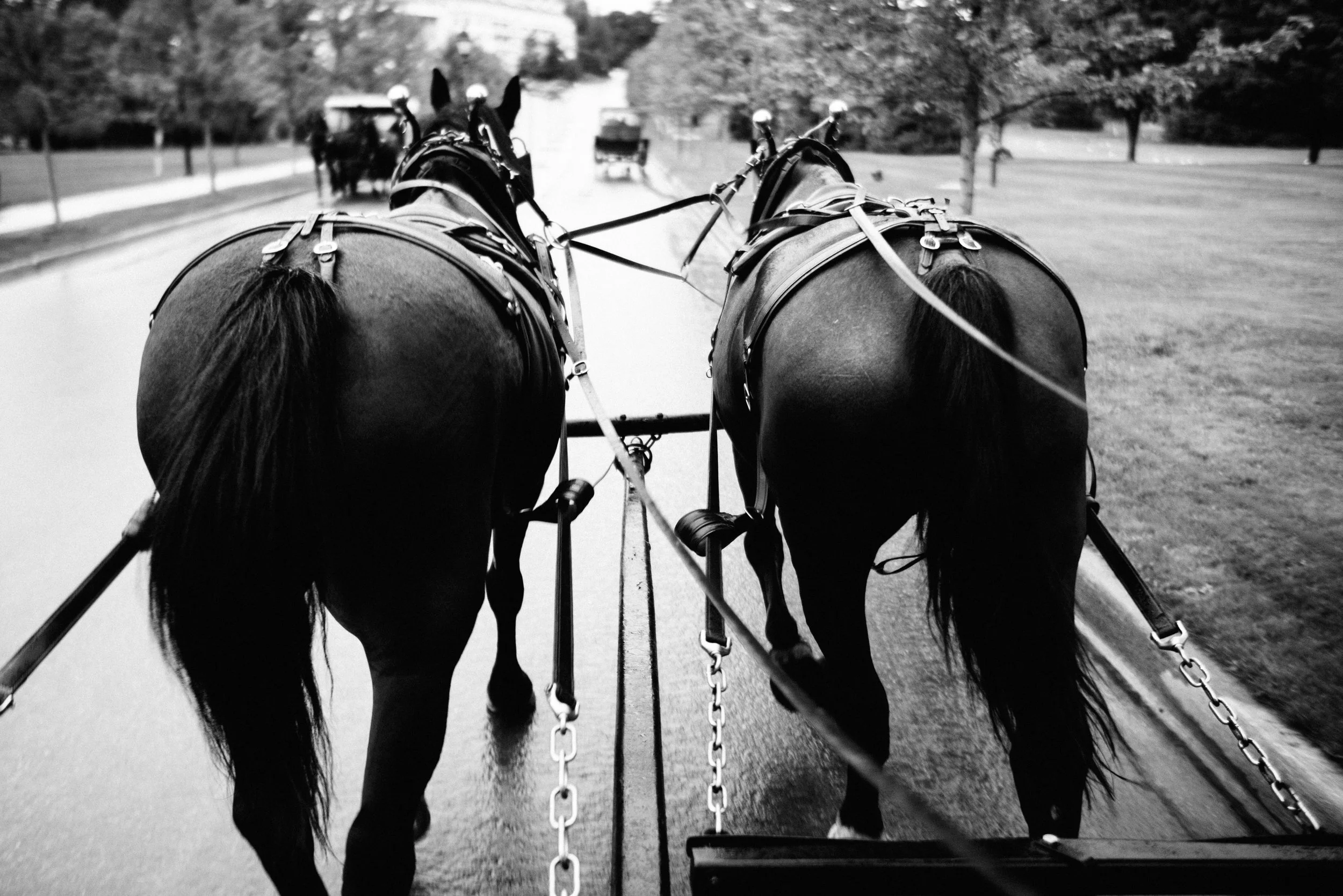 ShadowShinePictures-JosephPatriceJackson-Mackinac-Island-Wedding-Photography-28.jpg