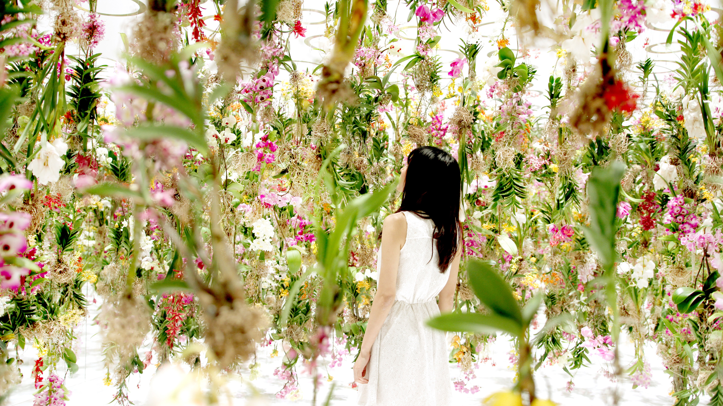 floating flower garden by the japanese artists teamlab . PHOTOGRAPHY COURTESY OF teamlab.
