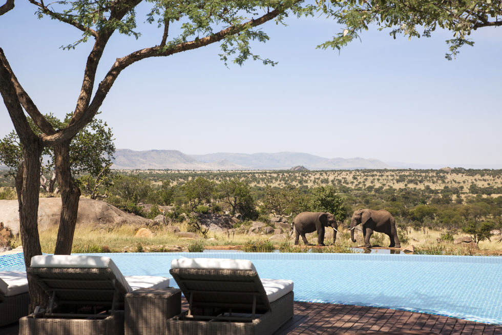 TANZANIA Wake up every morning to a parade of elephants at the watering hole before dip in the pool, a spa or heding out on a game drive across the Plains.