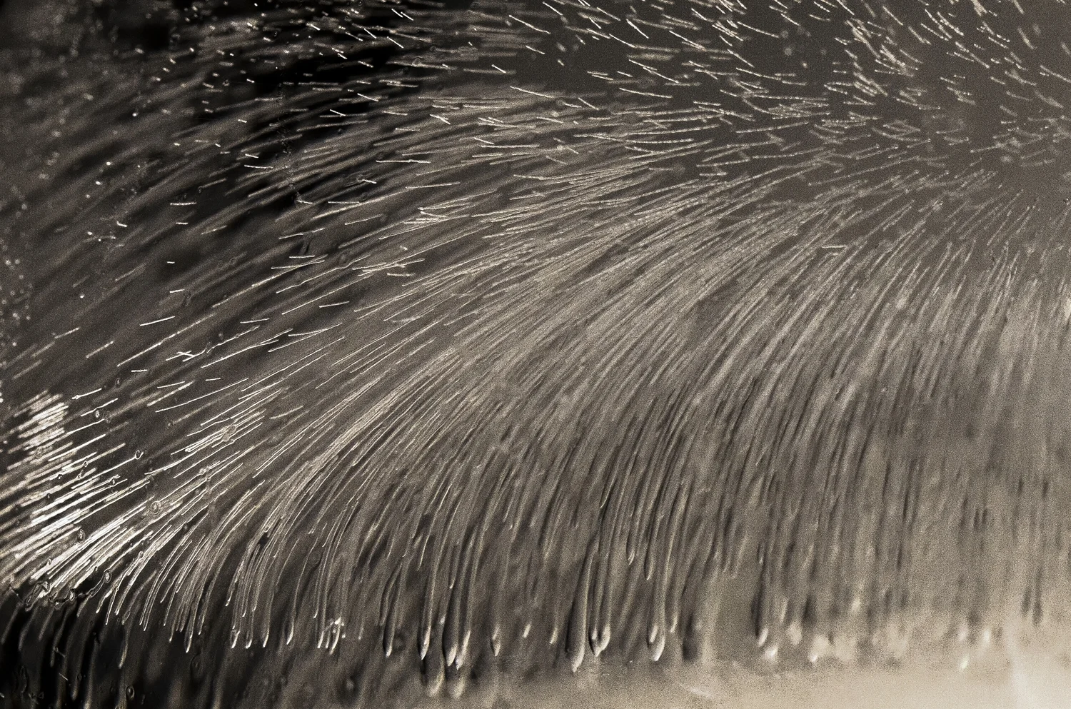   Cryoacoustic Orb &nbsp;(photo by Brooks de Wetter-Smith) 