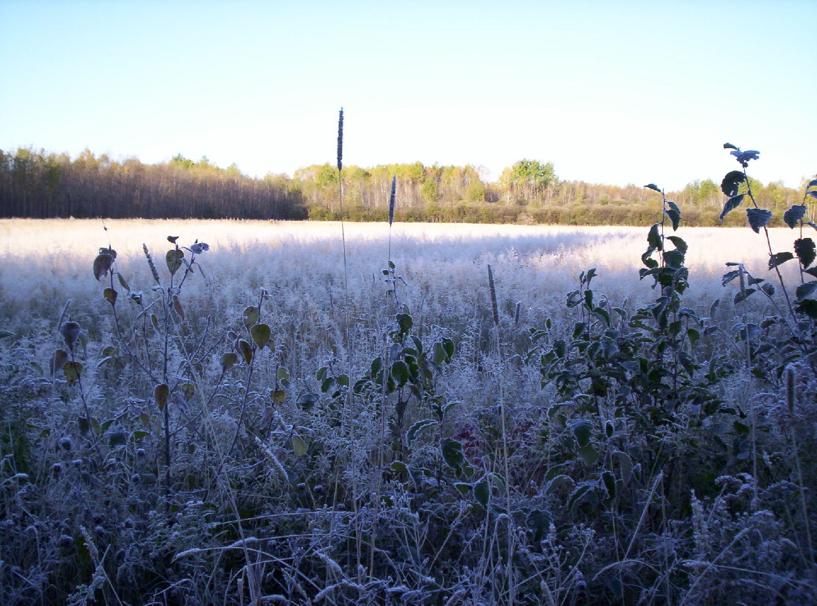 100_0504.jpg