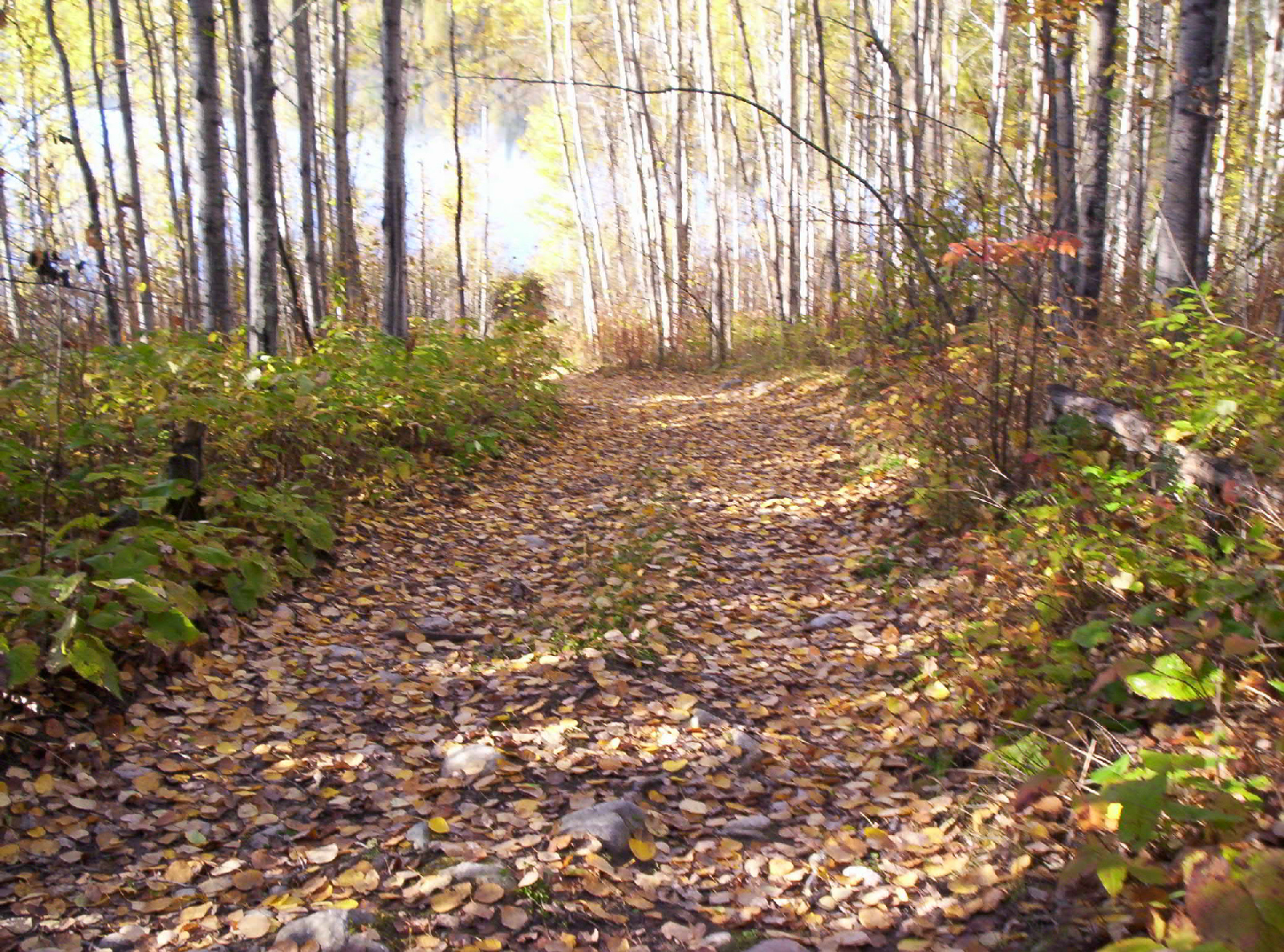 100_0521.jpg
