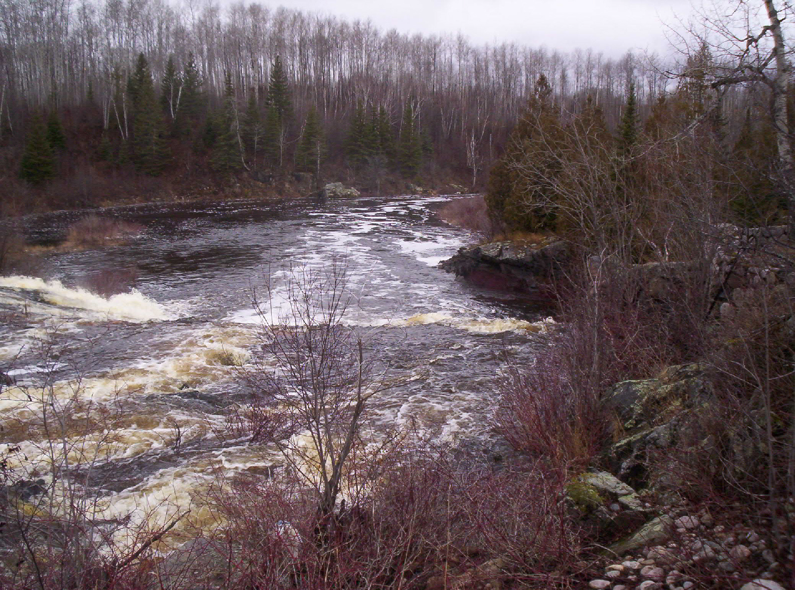 100_0653.jpg