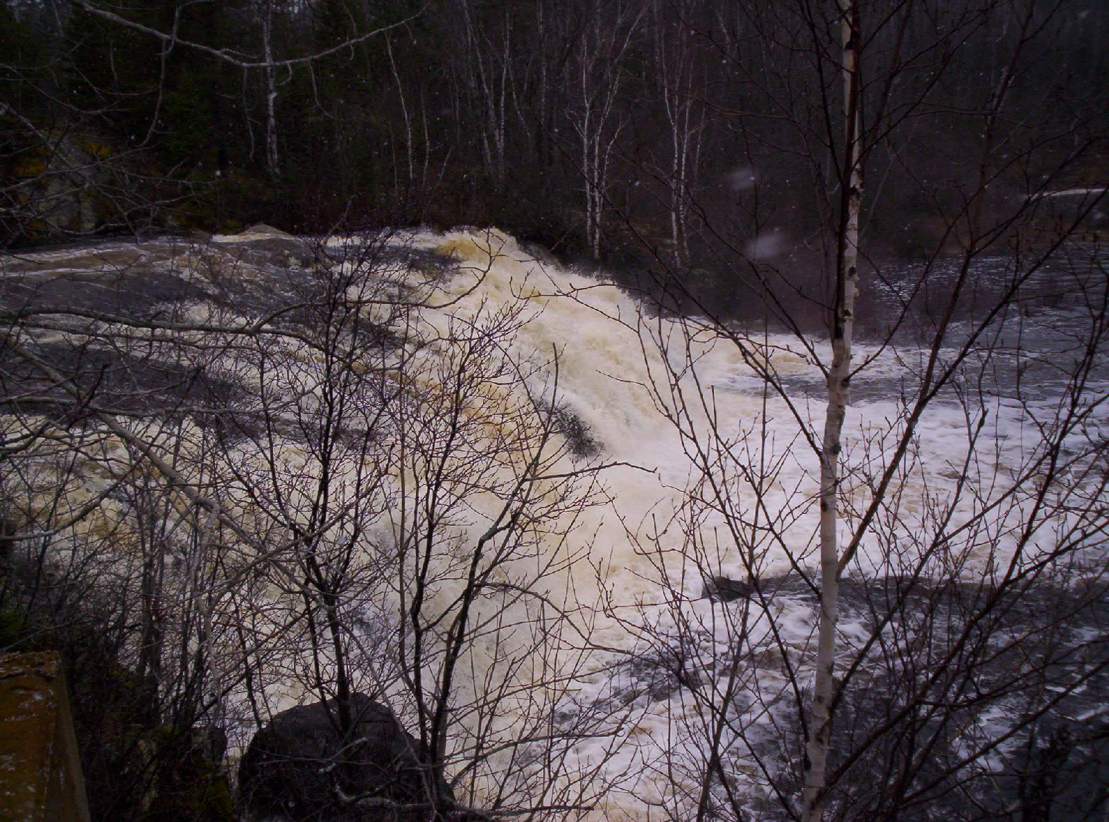 100_0659.jpg